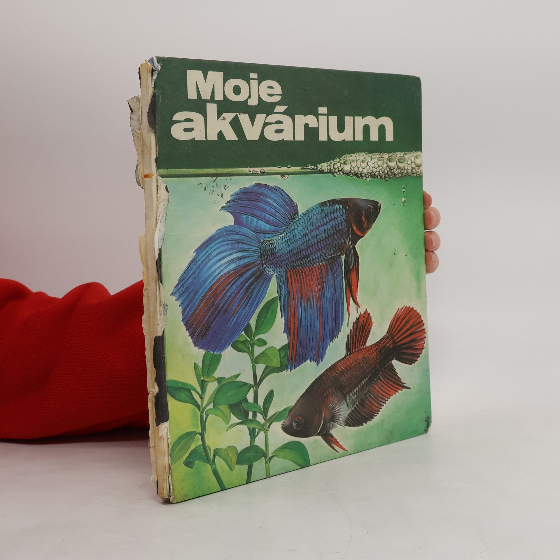 Gisela Flächsig Moje akvárium