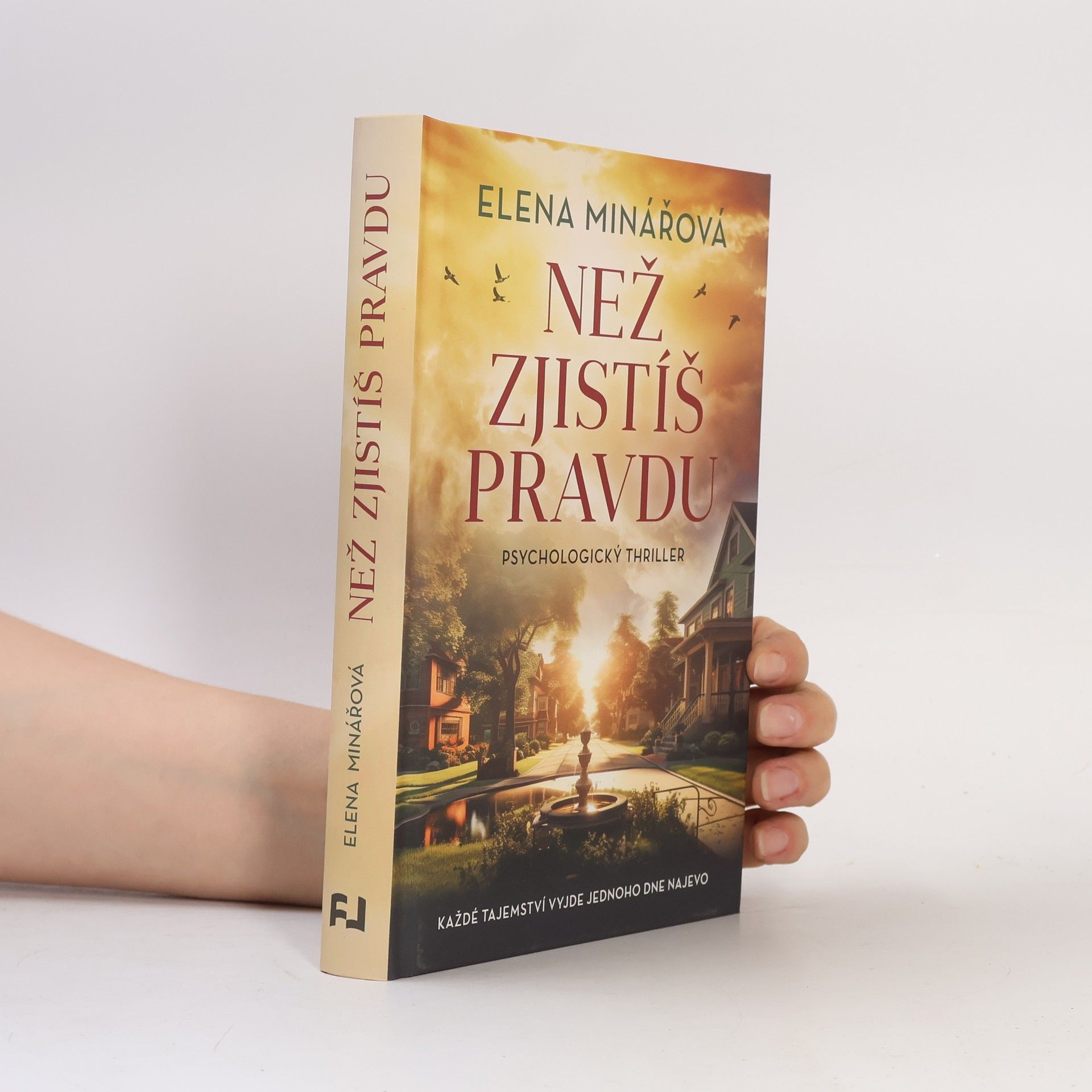 Elena Minářová Než zjistíš pravdu