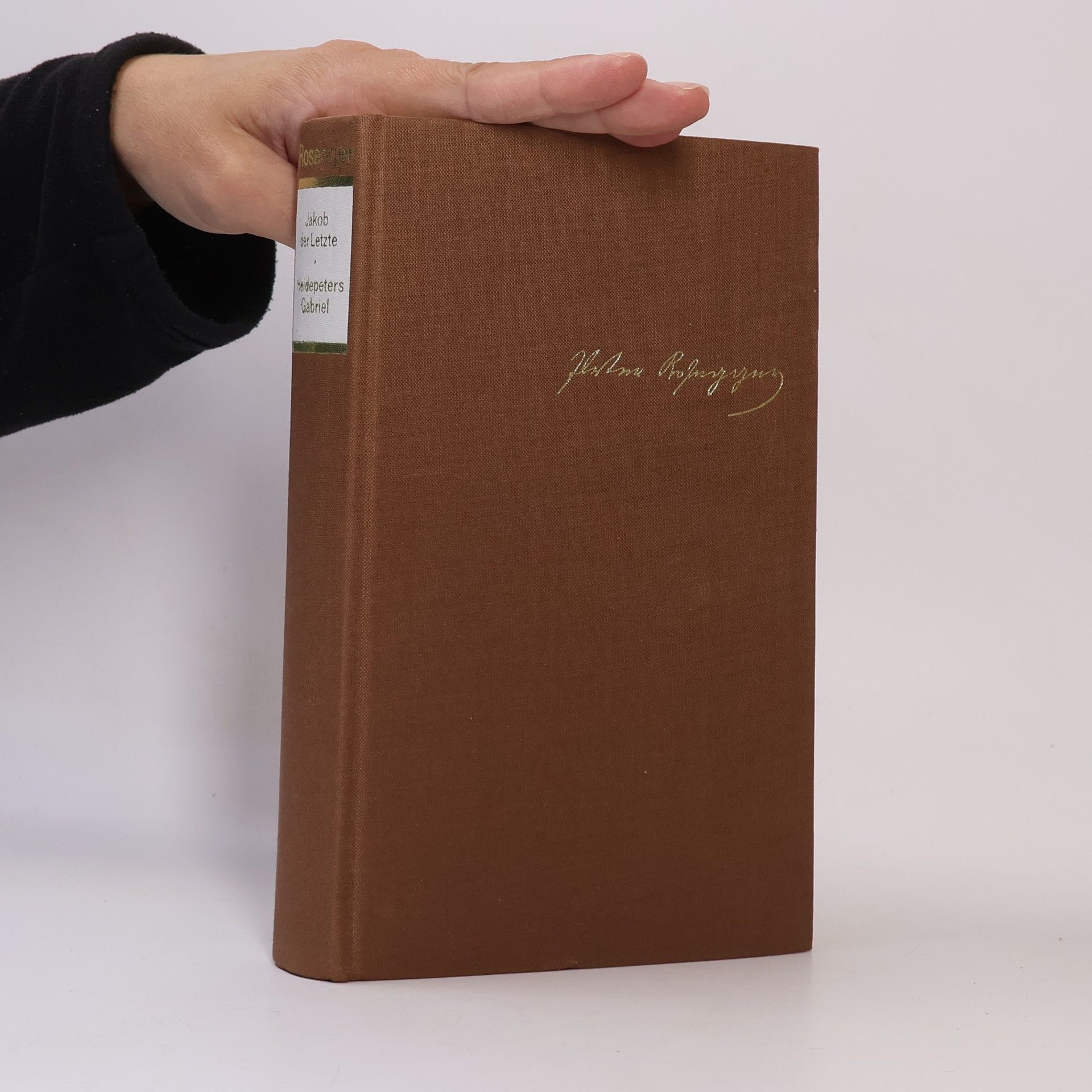 Petr Rosegger Jakob der Letzte