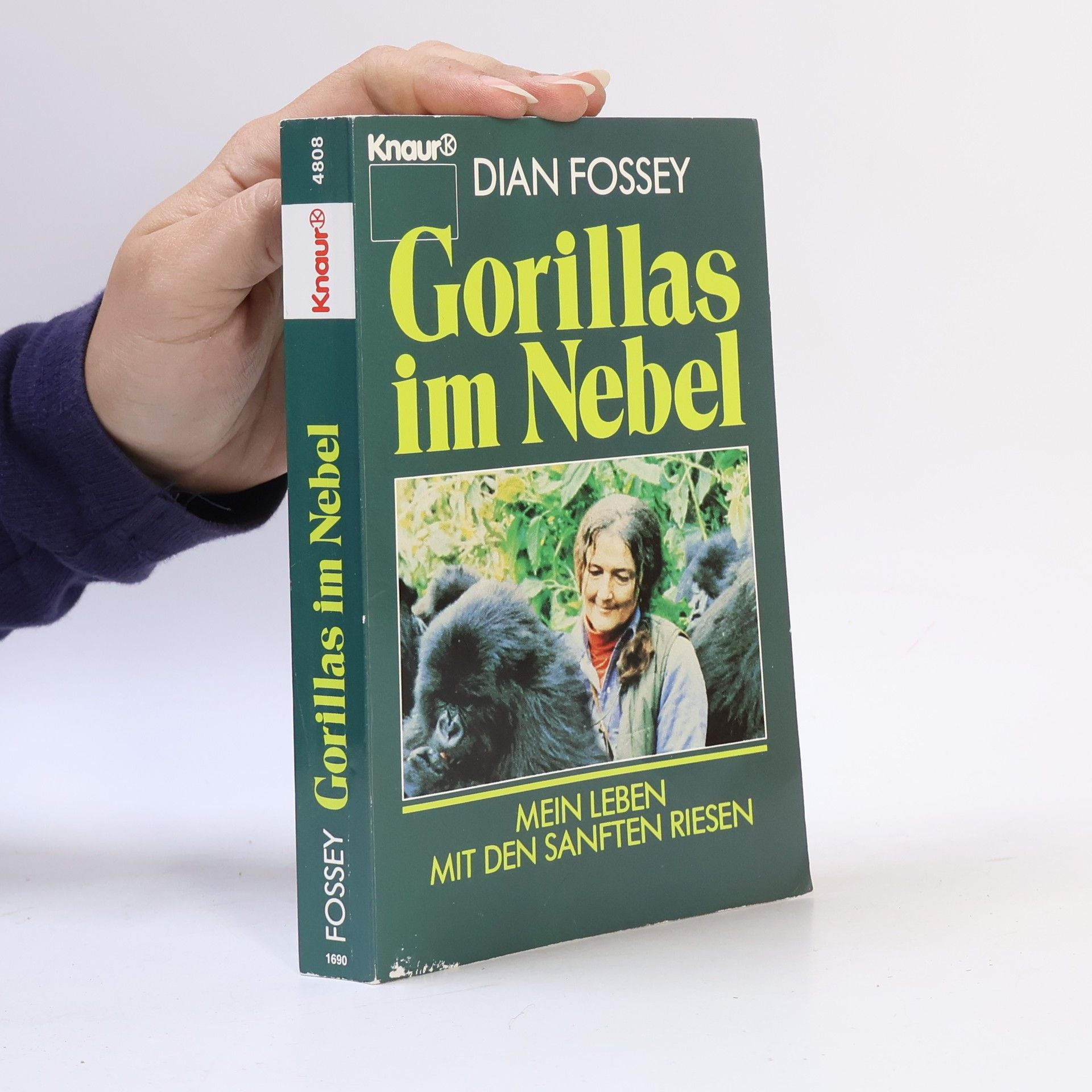 Dian Fossey Gorillas im Nebel