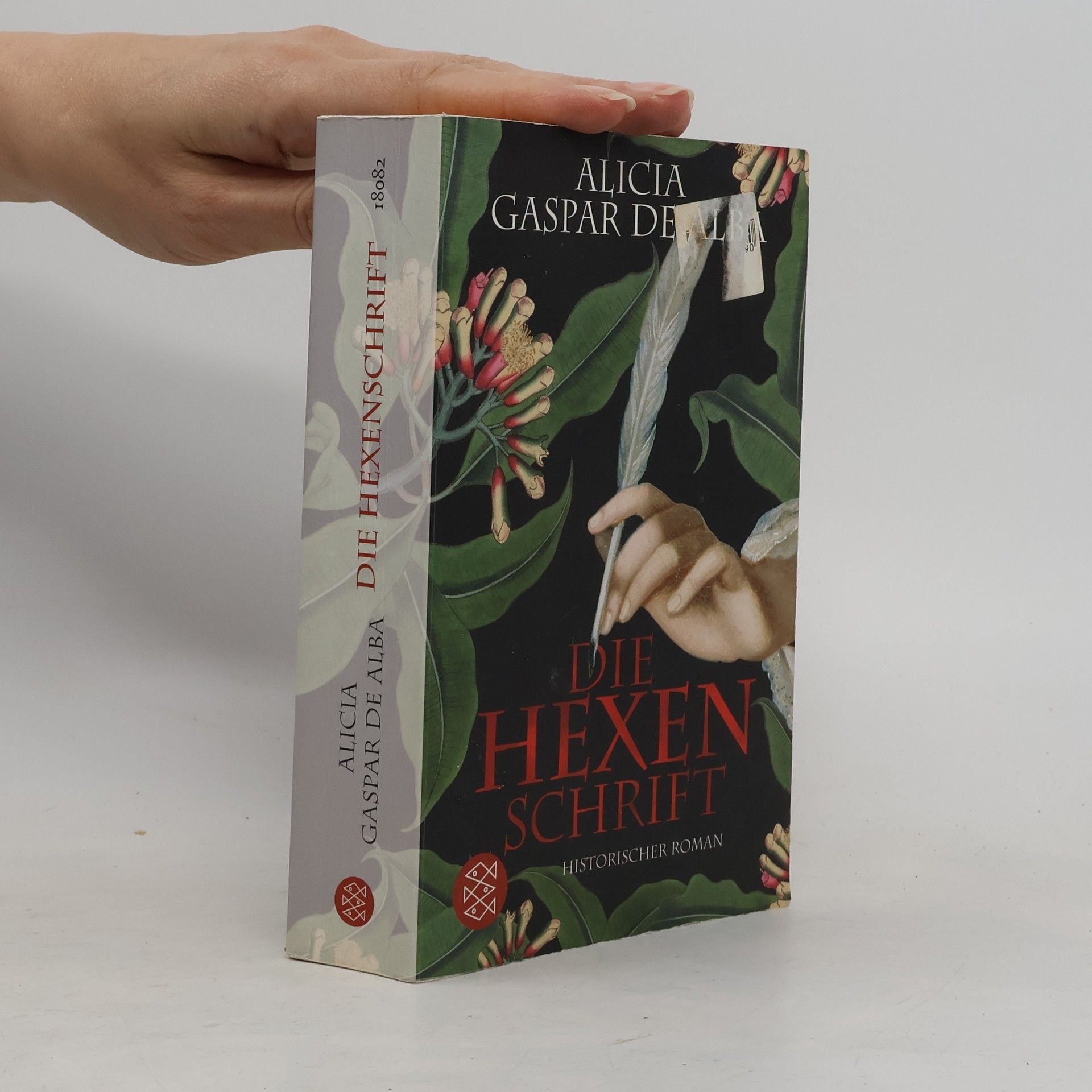 Alicia Gaspar de Alba Die Hexenschrift