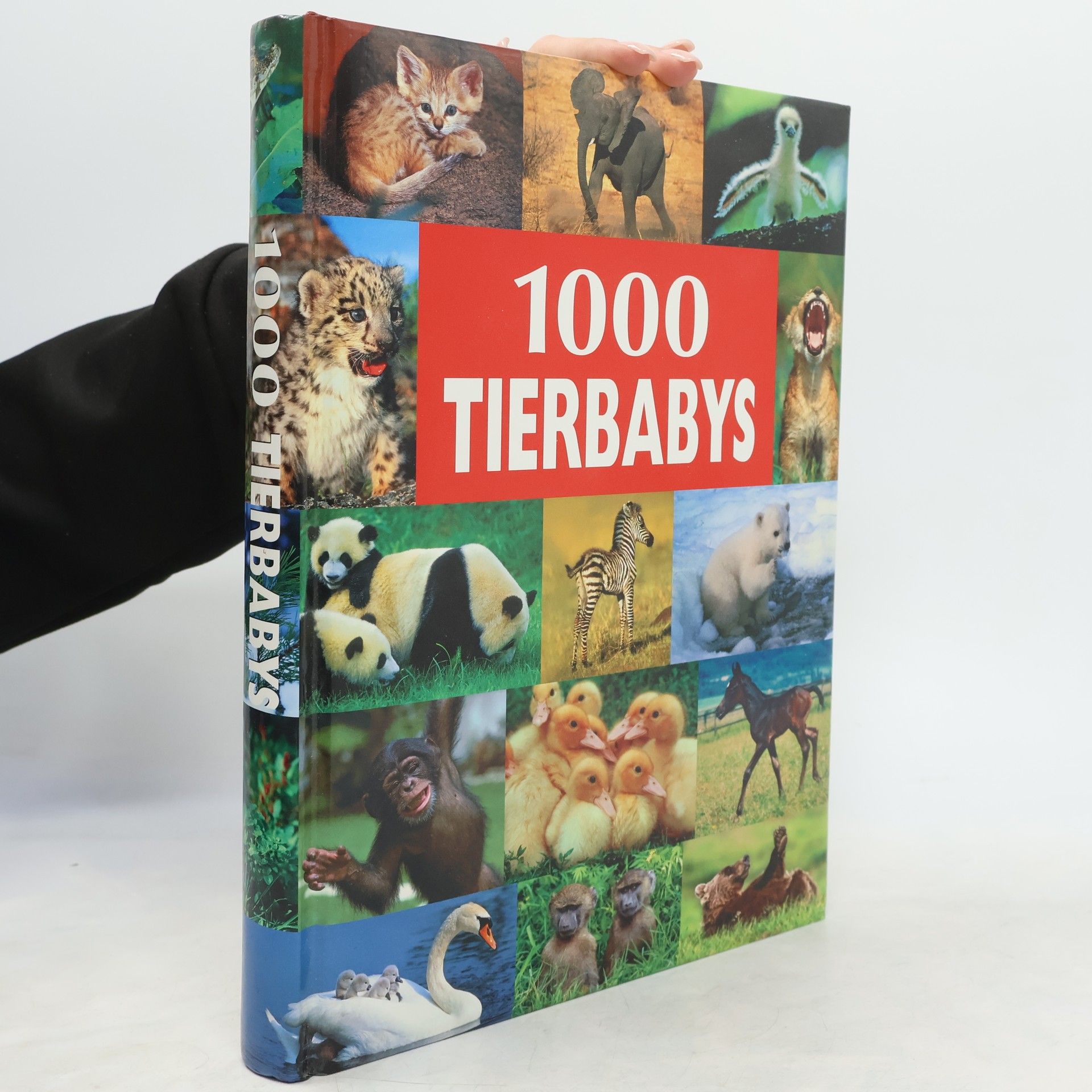 Ulrike Schöber 1000 Tierbabys