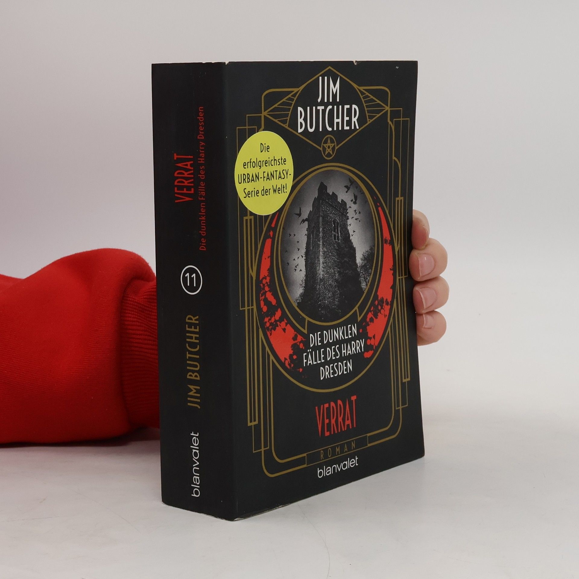 Jim Butcher Die dunklen Fälle des Harry Dresden - Verrat