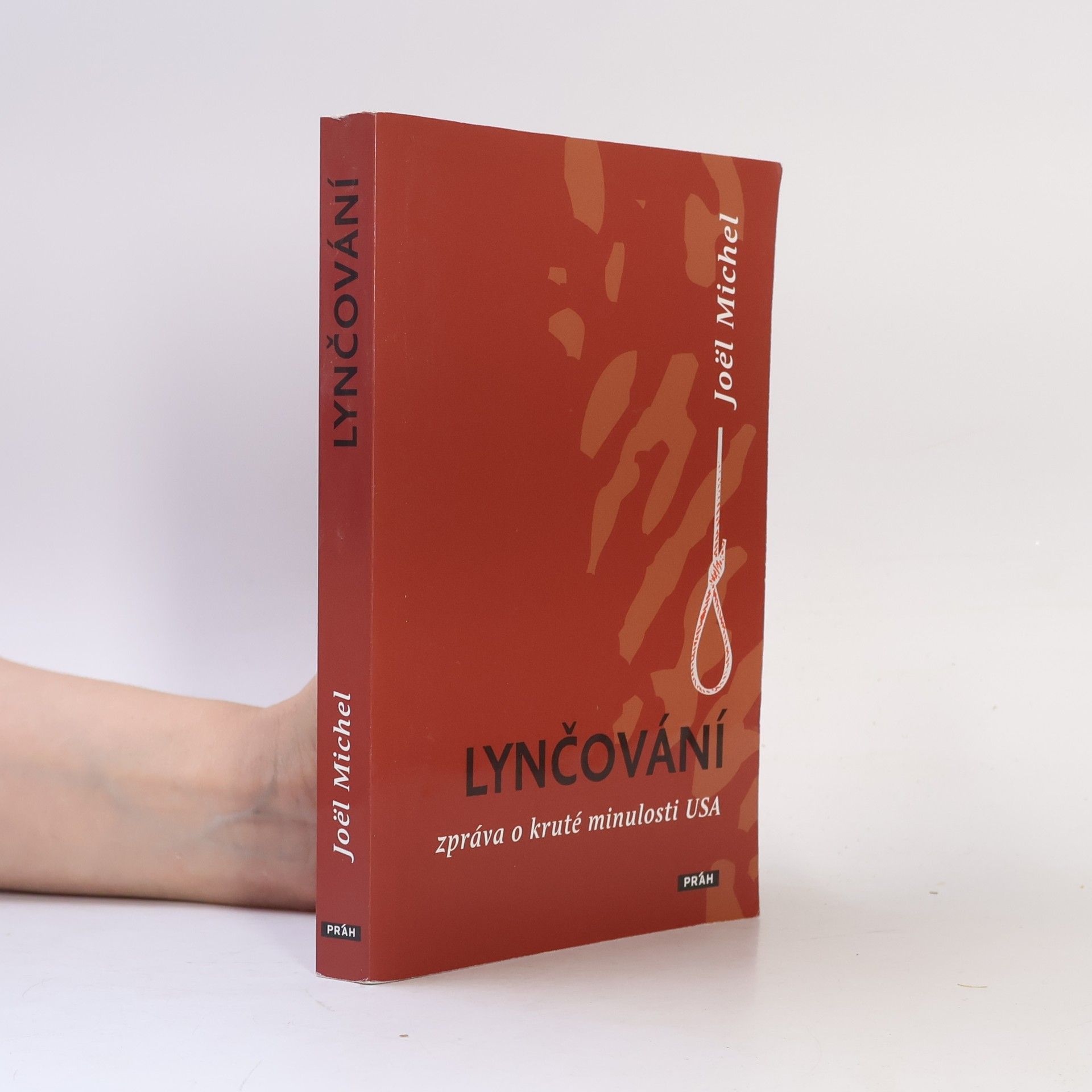 Joël Michel Lynčování - Zpráva o kruté minulosti USA