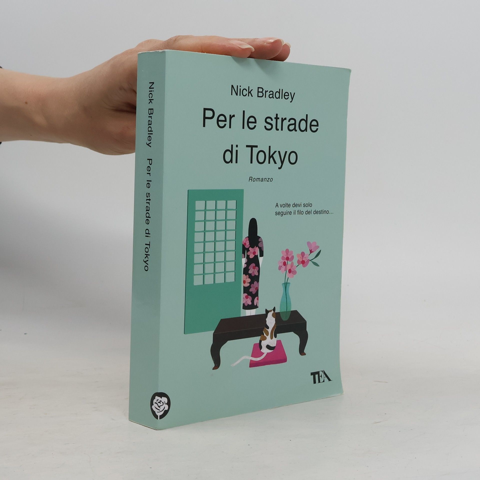 Nick Bradley SuperTEA: Per le strade di Tokyo