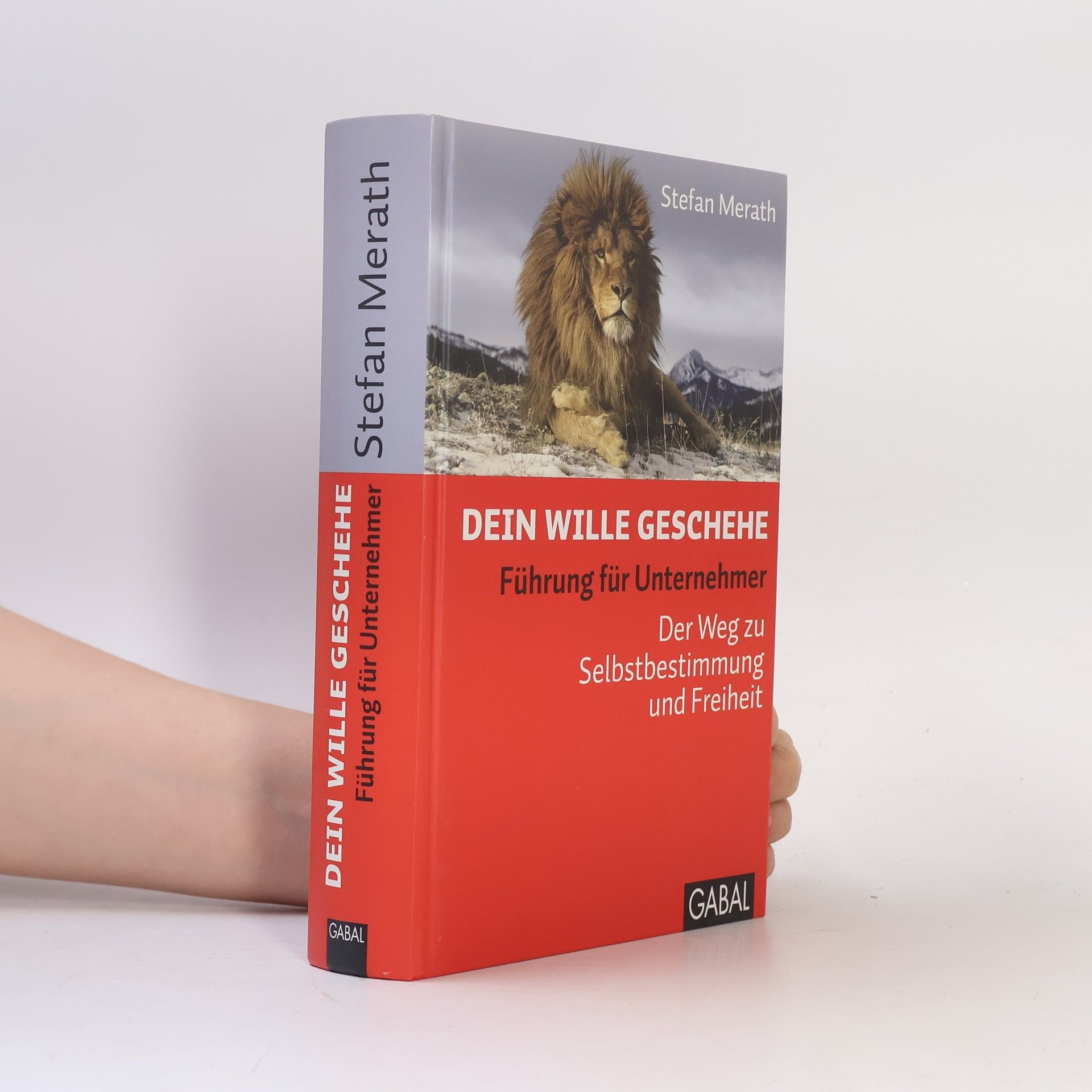 Stefan Merath Dein Wille geschehe