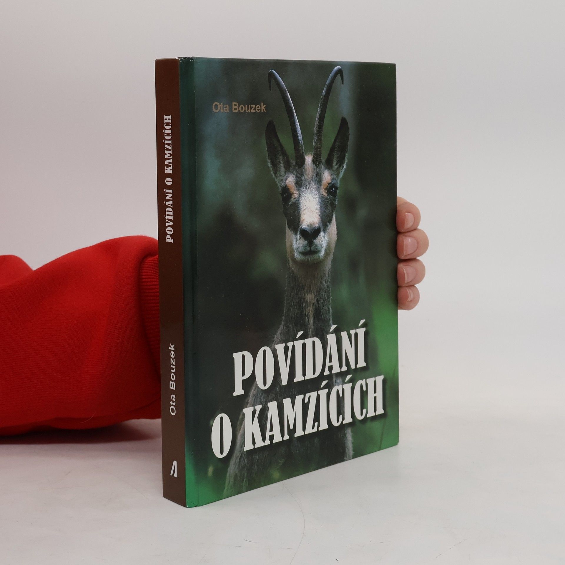 Povídání o kamzících