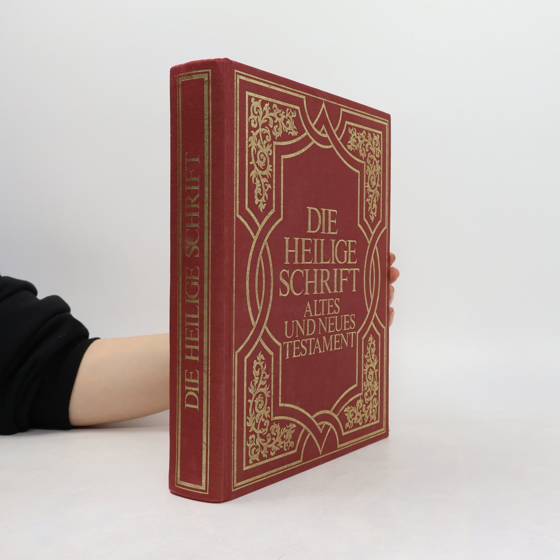 Kolektiv autorů Die heilige Schrift: Altes und neues Testament