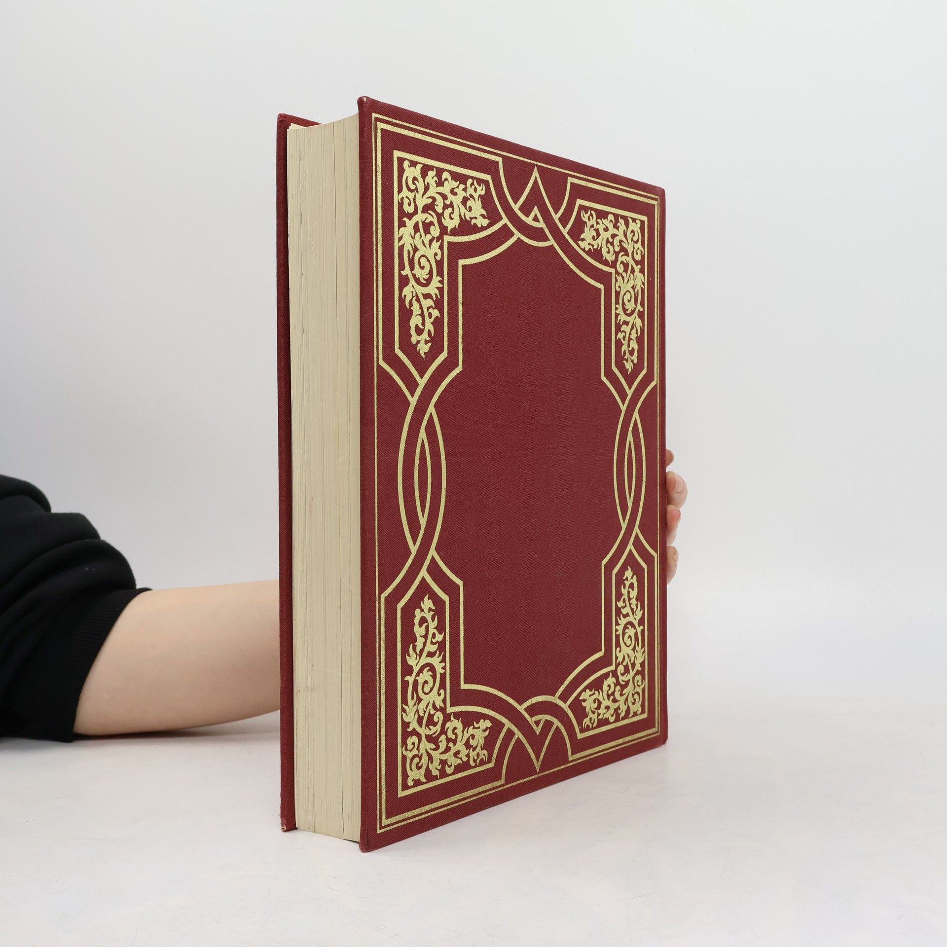 Kolektiv autorů Die heilige Schrift: Altes und neues Testament
