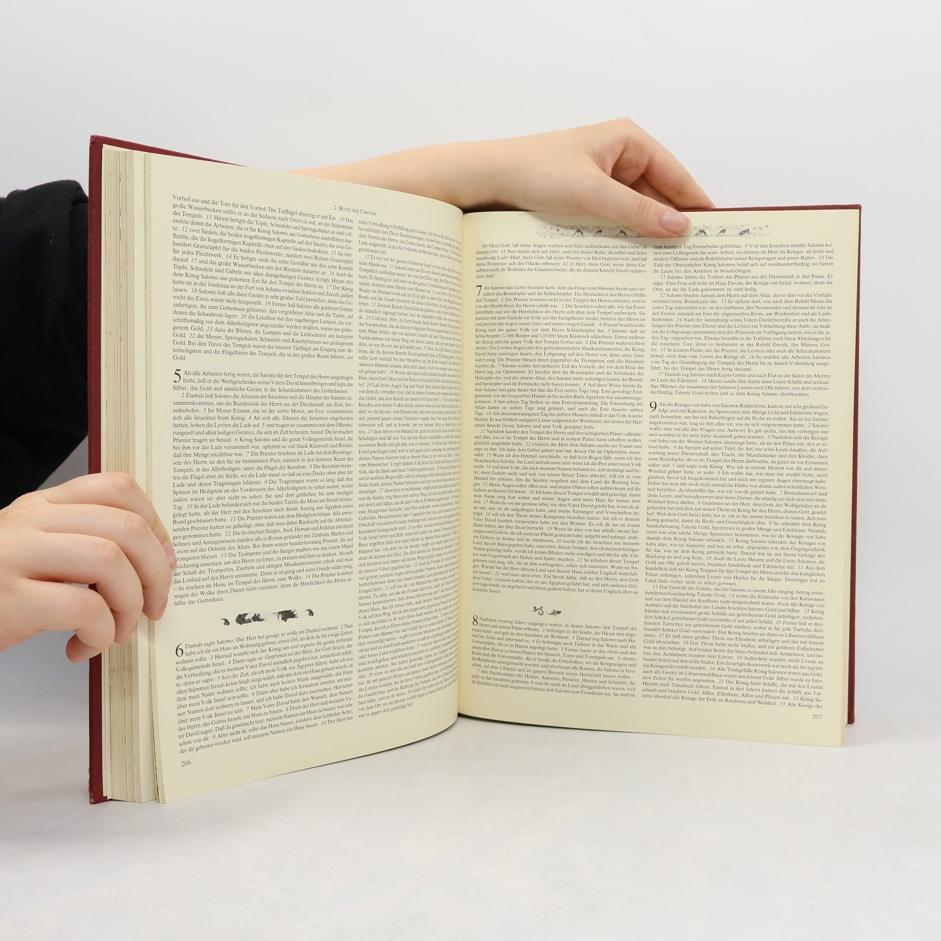 Kolektiv autorů Die heilige Schrift: Altes und neues Testament