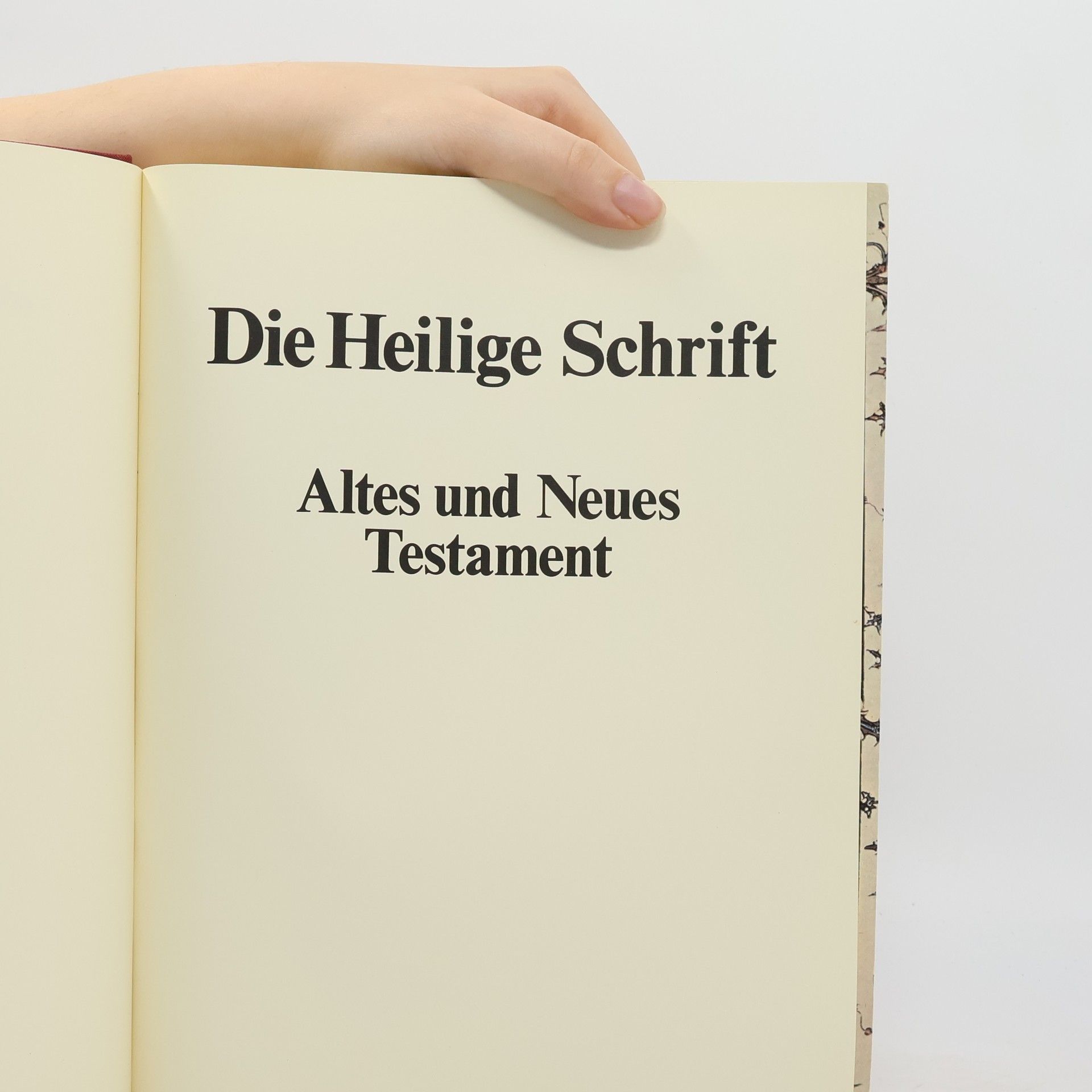 Kolektiv autorů Die heilige Schrift: Altes und neues Testament