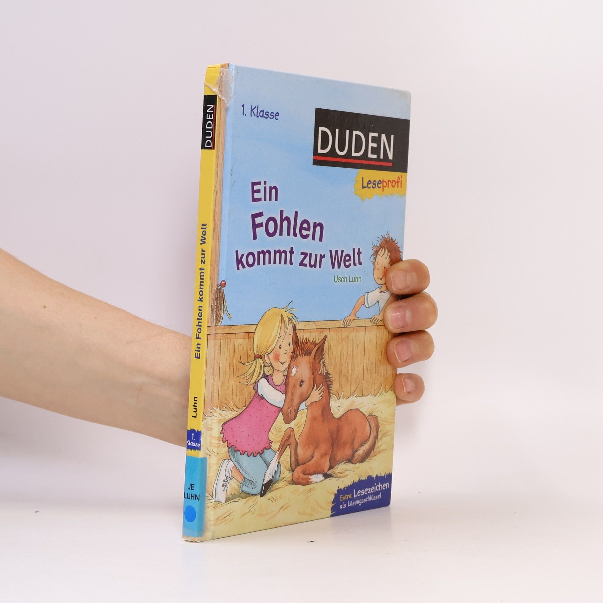 Ein Fohlen kommt zur Welt