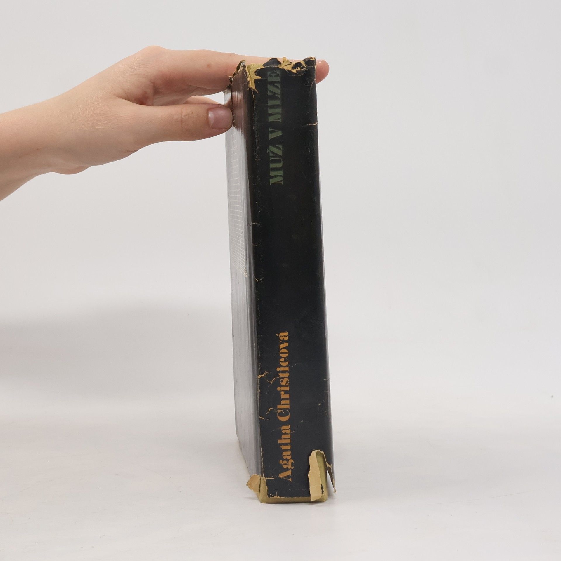 Agatha Christie Muž v mlze