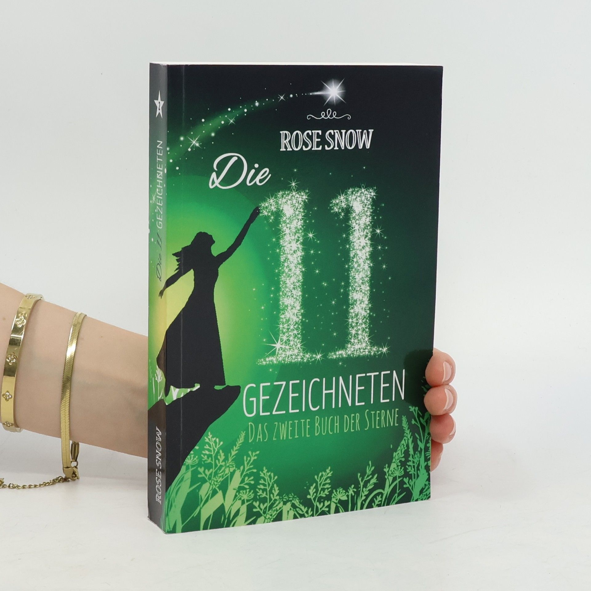Rose Snow Die 11 Gezeichneten