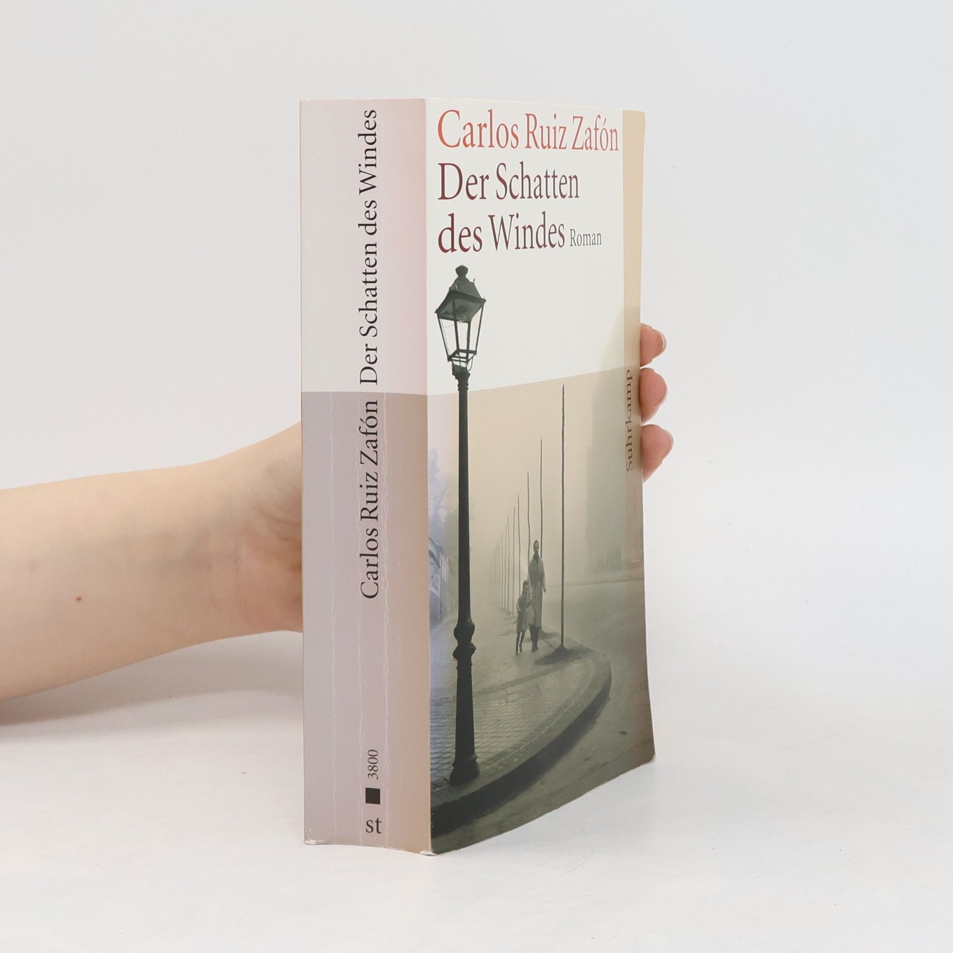 Carlos Ruiz Safon Der Schatten des Windes