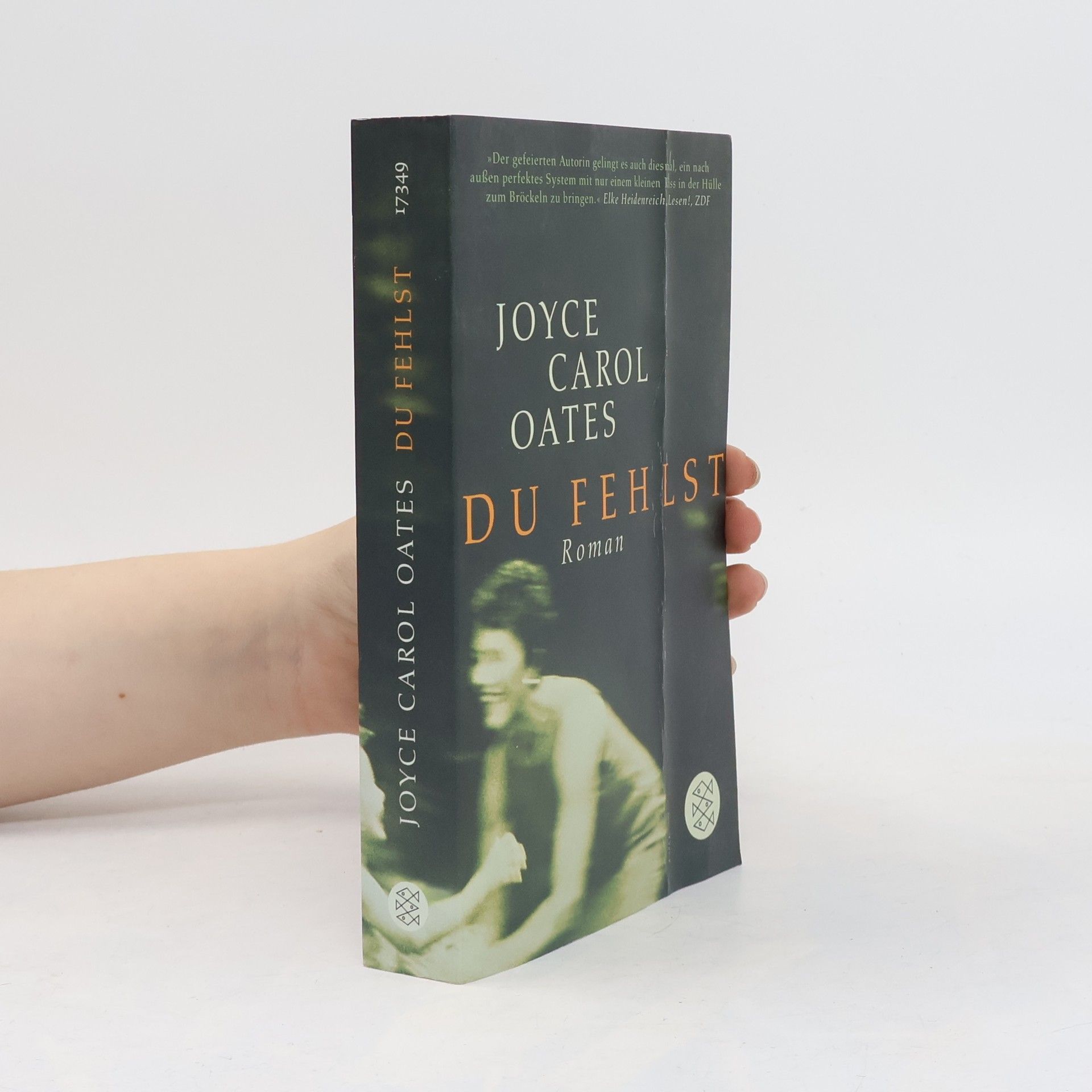 Joyce Carol Oates Du fehlst