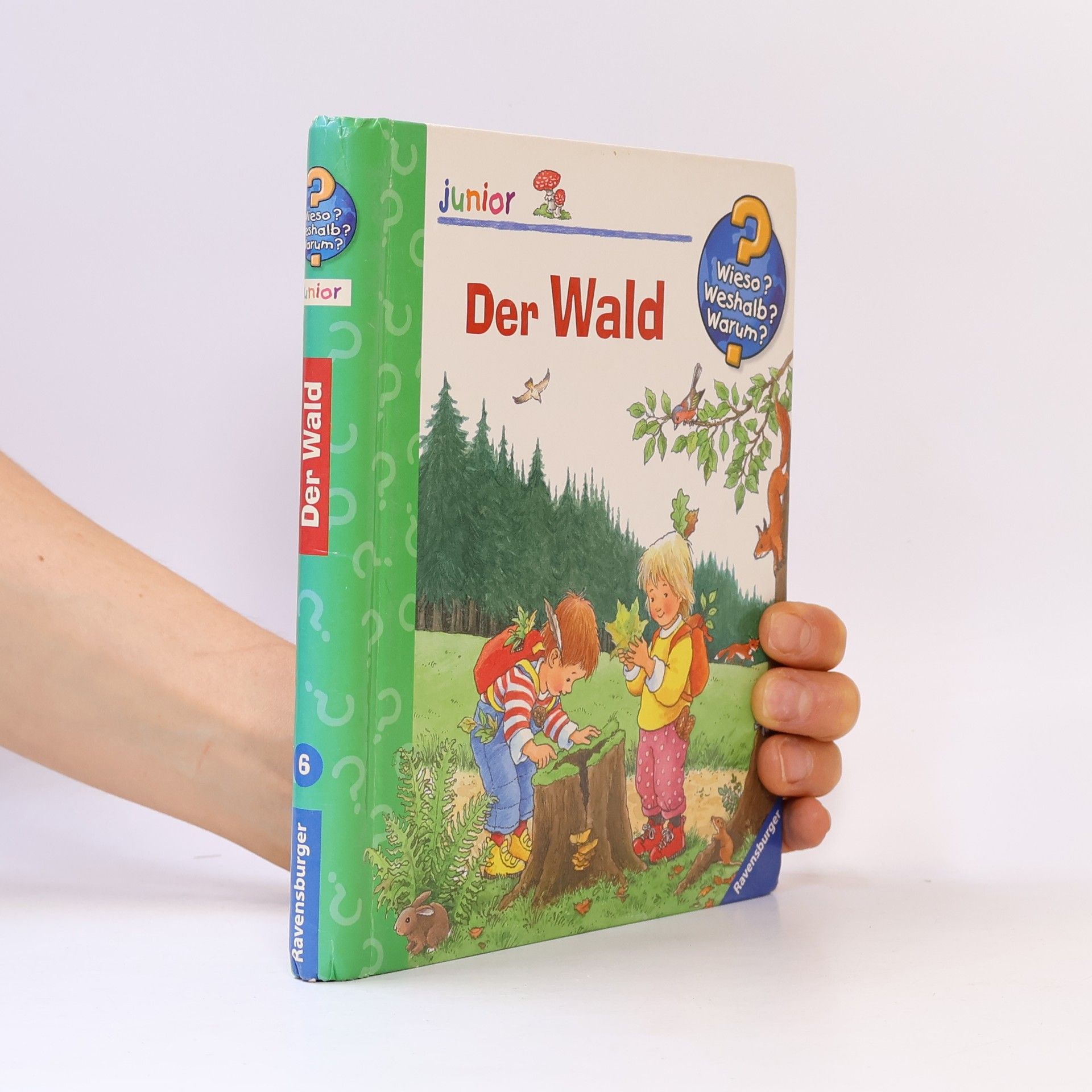 Angela Weinhold Der Wald
