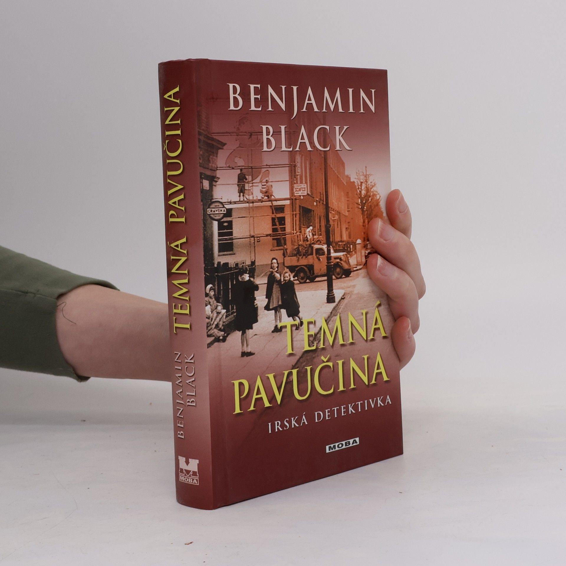 John Banville Temná pavučina