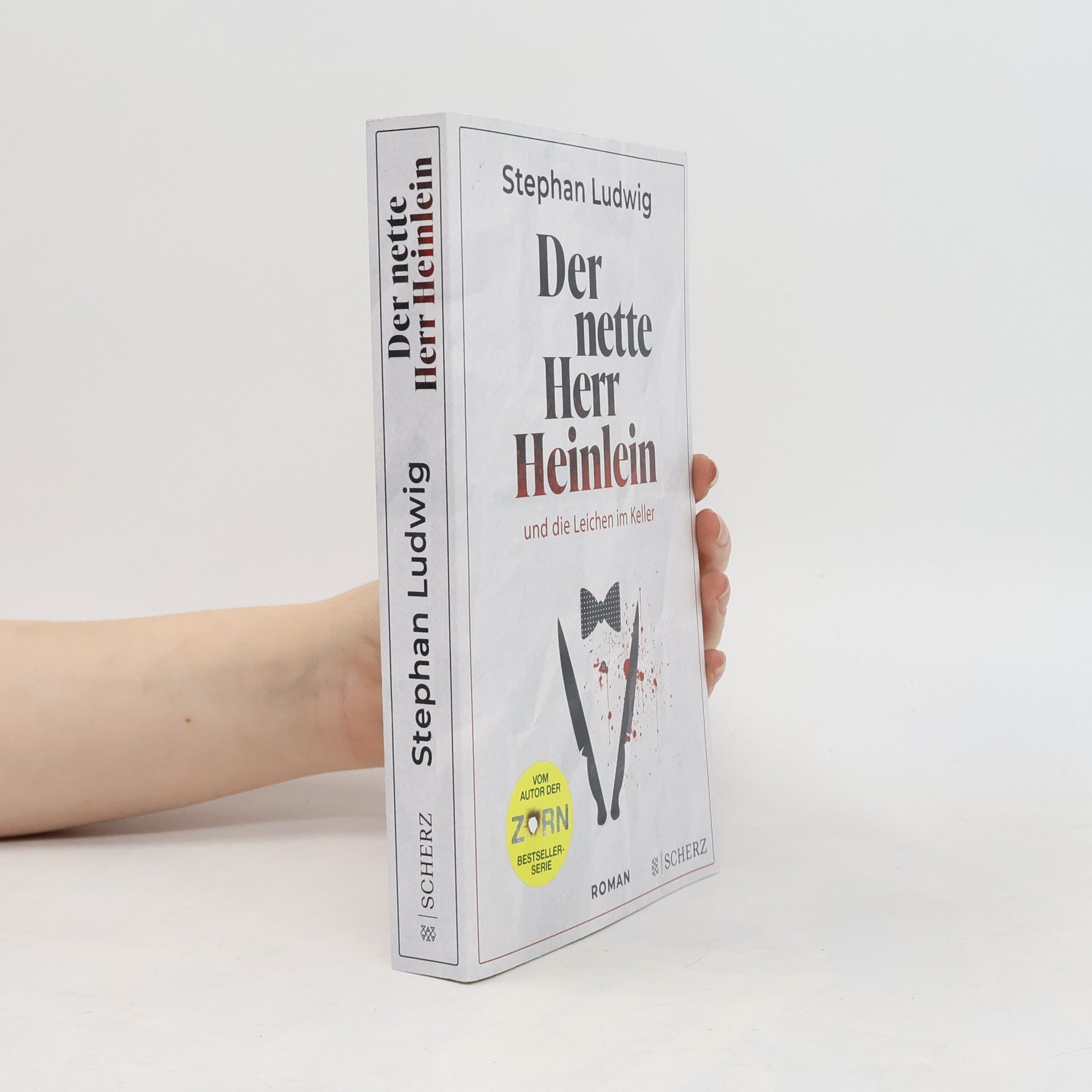 Stephan Ludwig Der nette Herr Heinlein und die Leichen im Keller