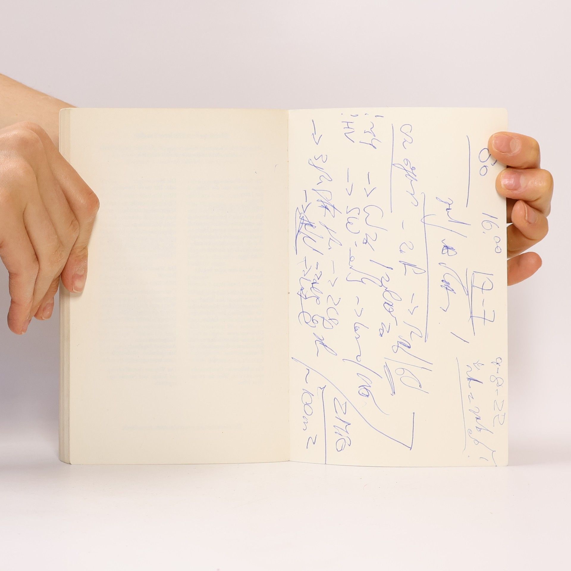 Walter Kappacher Der Fliegenpalast