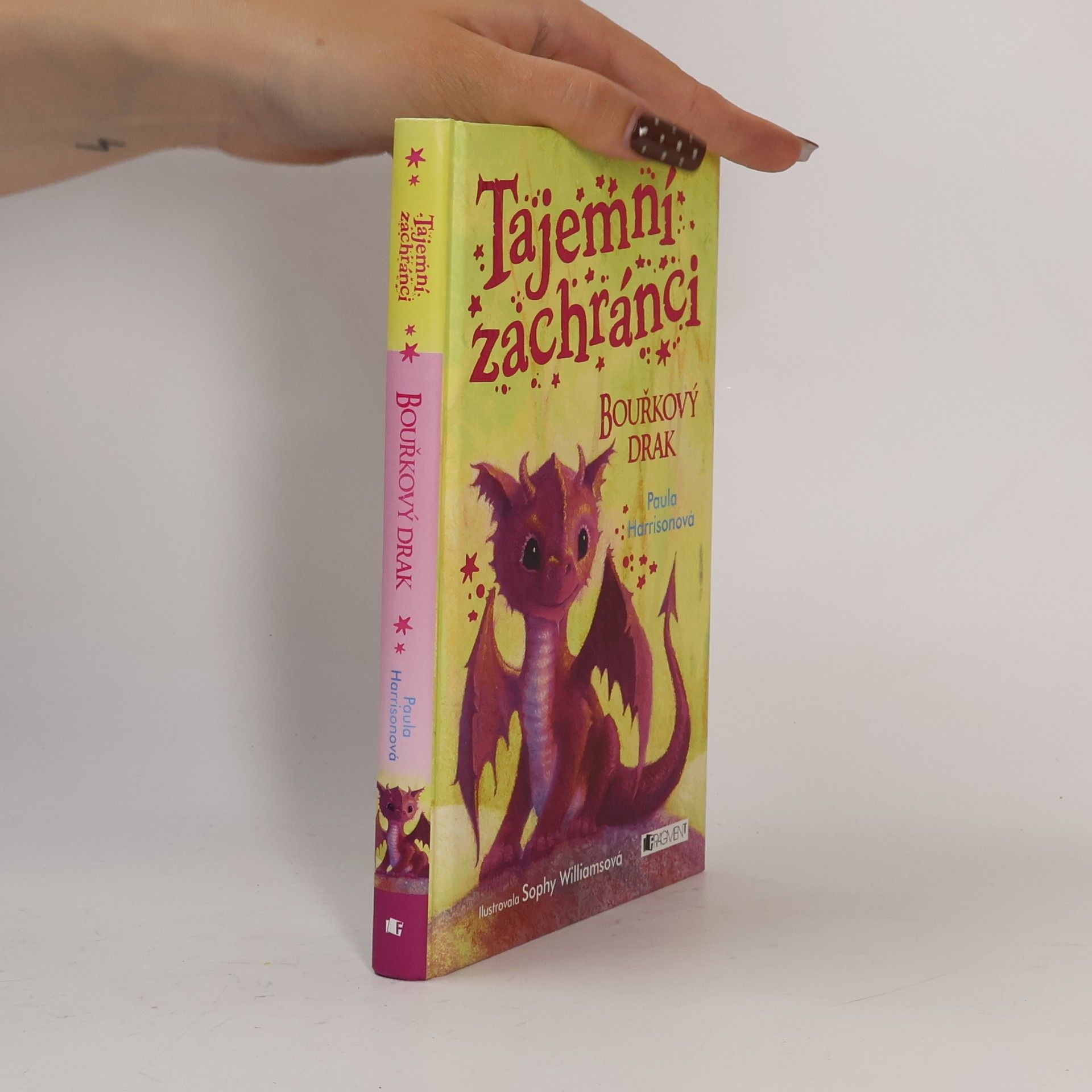 Paula Harrison Tajemní zachránci - Bouřkový drak