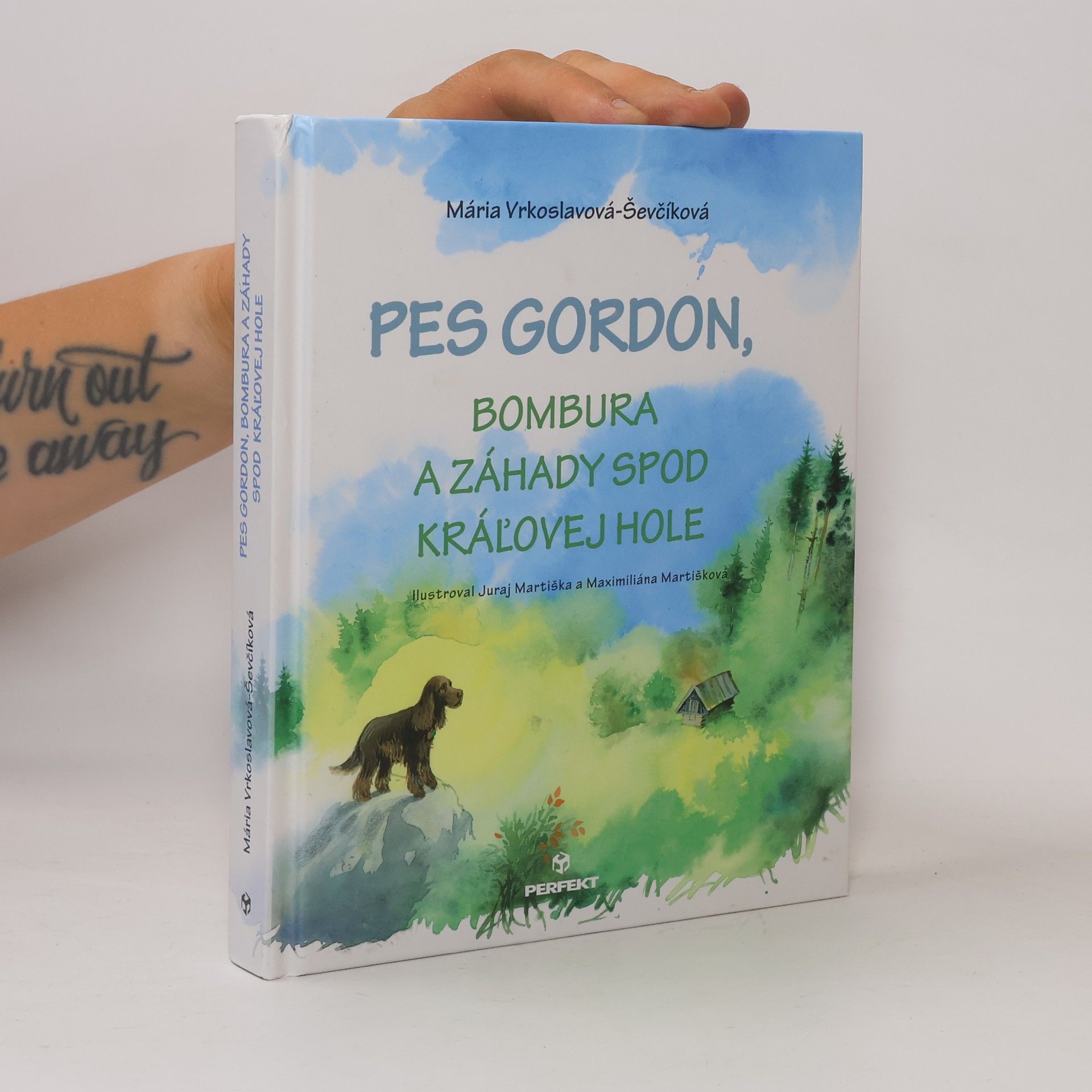 Pes Gordon,Bombura a záhady spod kráľovej hole
