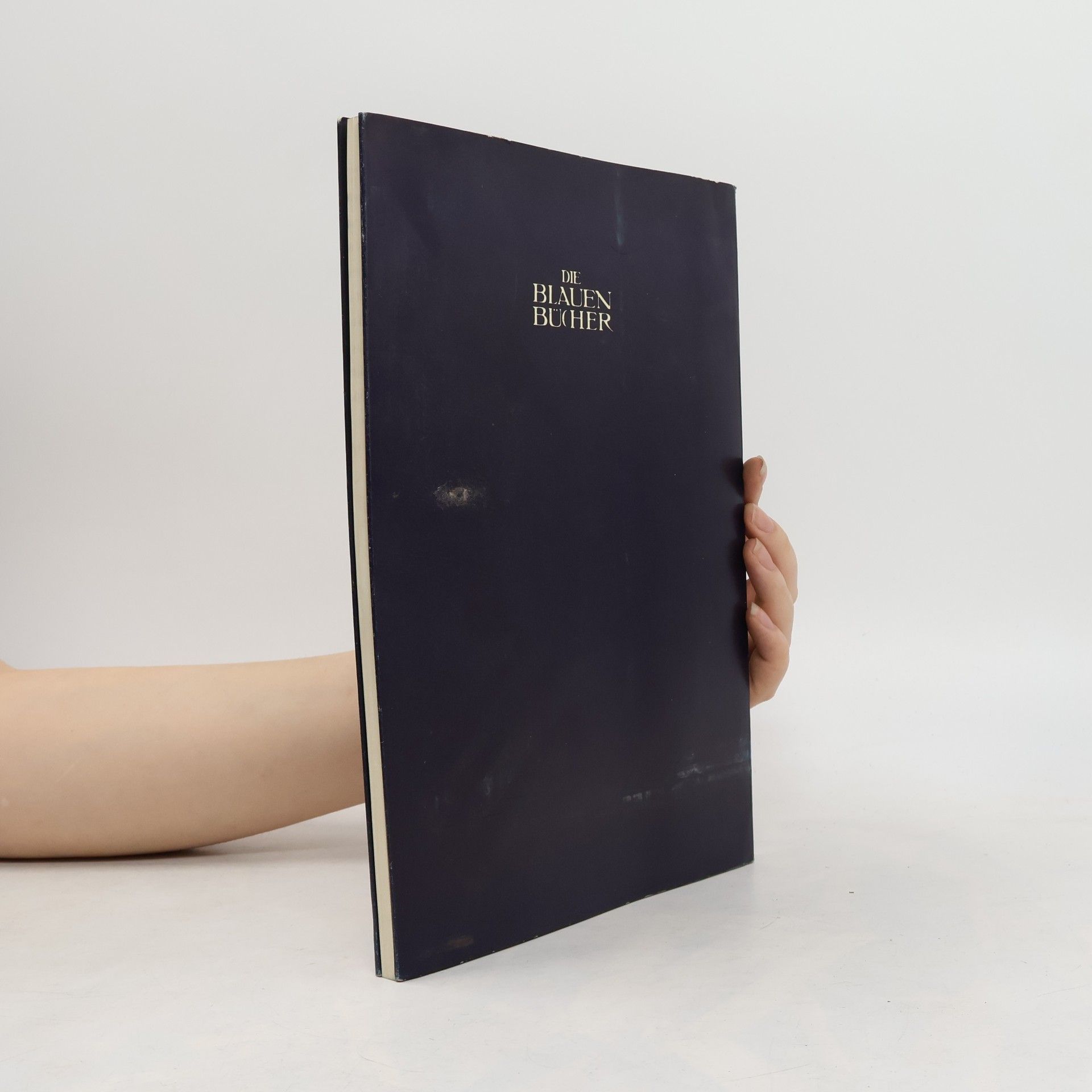 Autorenkollektiv Österreich. Die Blauen Bücher