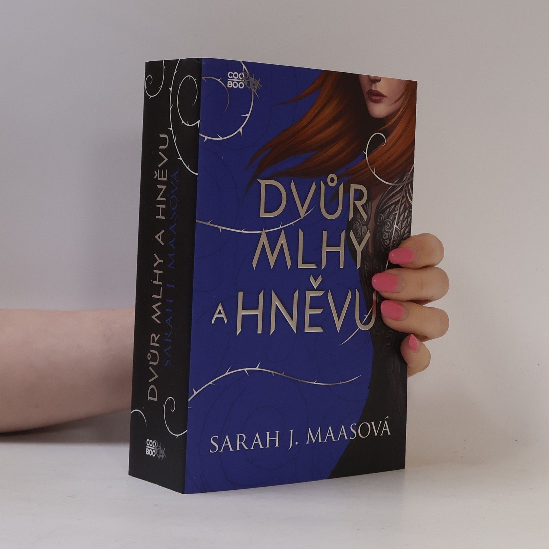 Sarah J. Maas Dvůr mlhy a hněvu