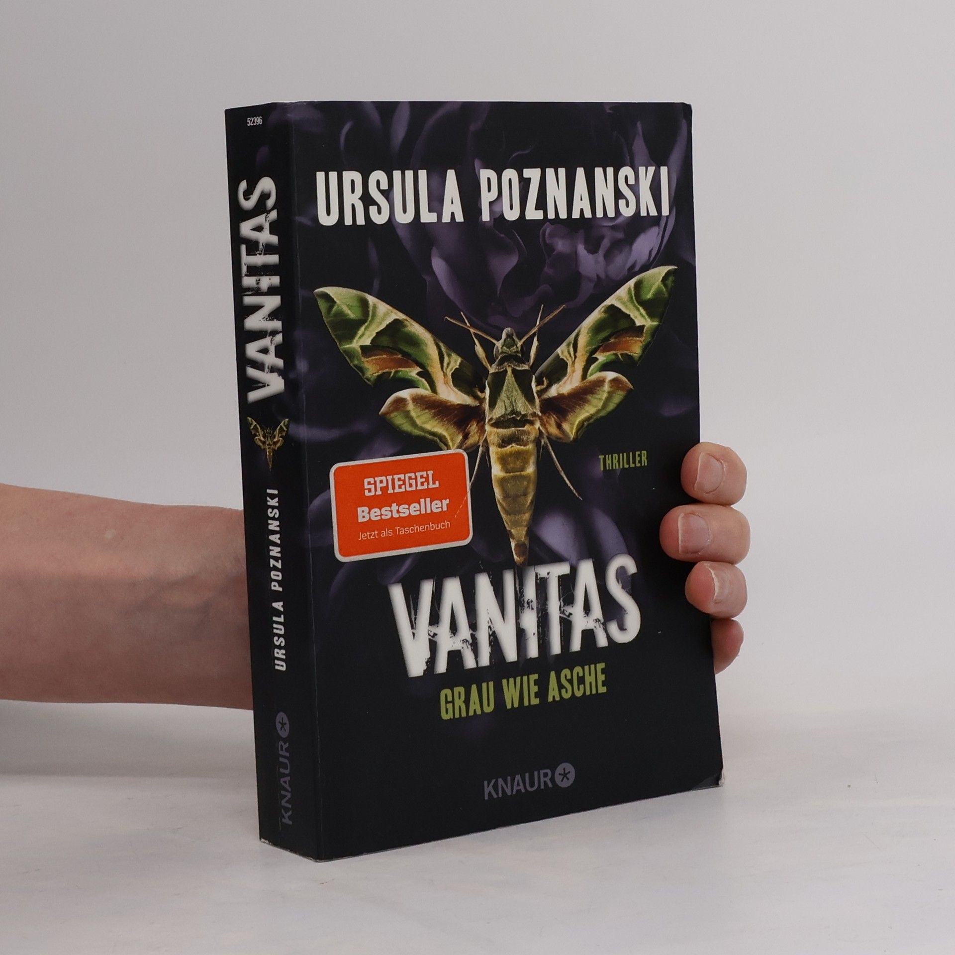 Ursula Poznanski Vanitas. Grau wie Asche