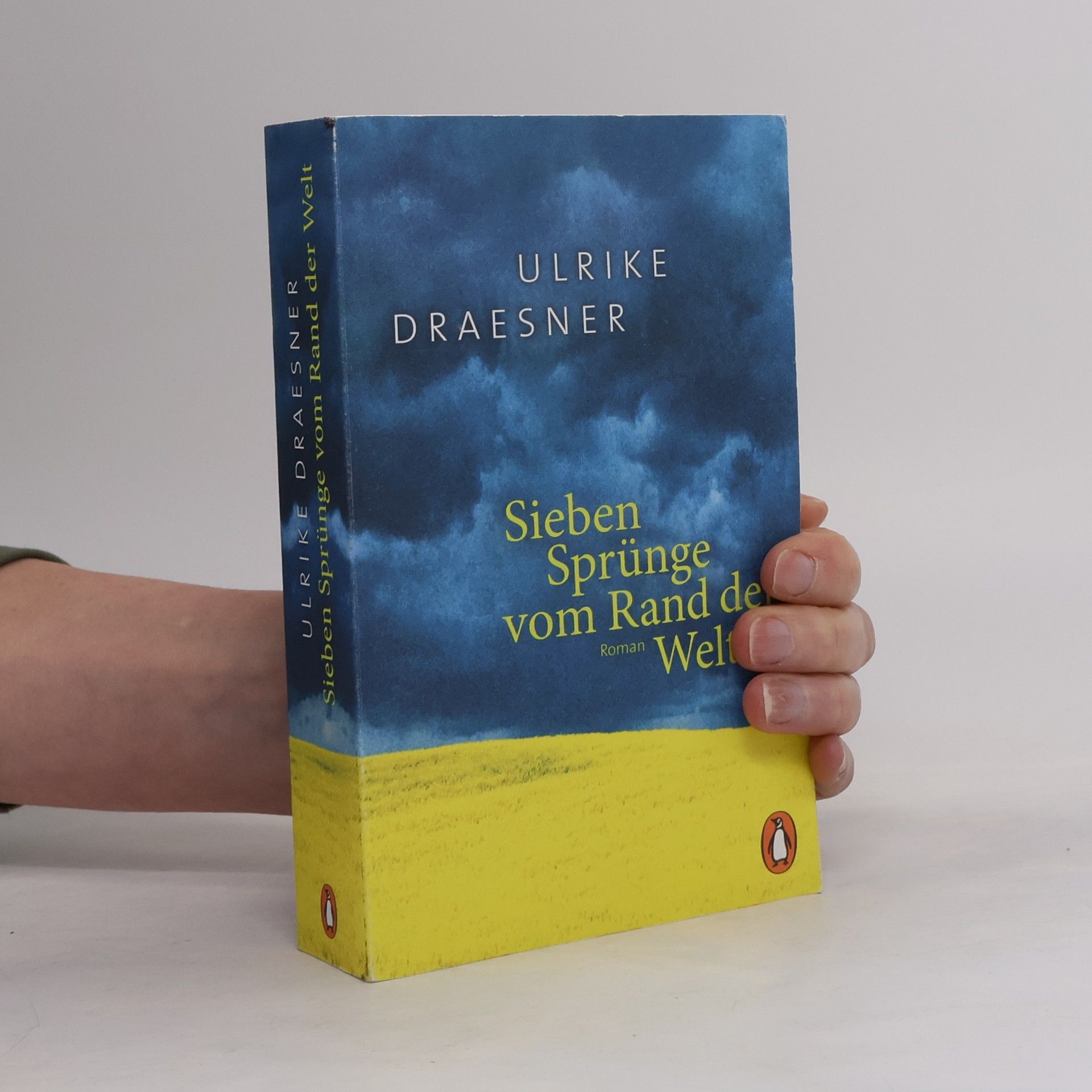 Ulrike Draesner Sieben Sprünge vom Rand der Welt