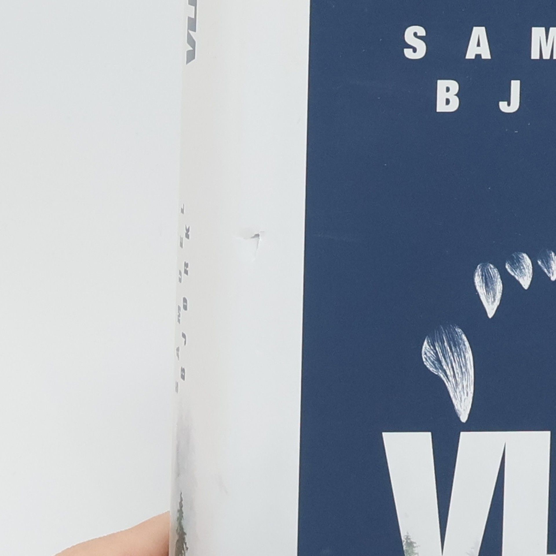 Samuel Bjork Vlk