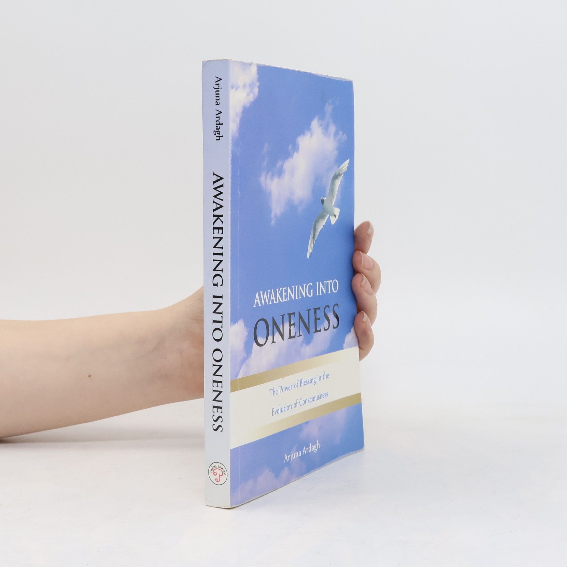 Arjuna Ardagh Awakening Into Oneness