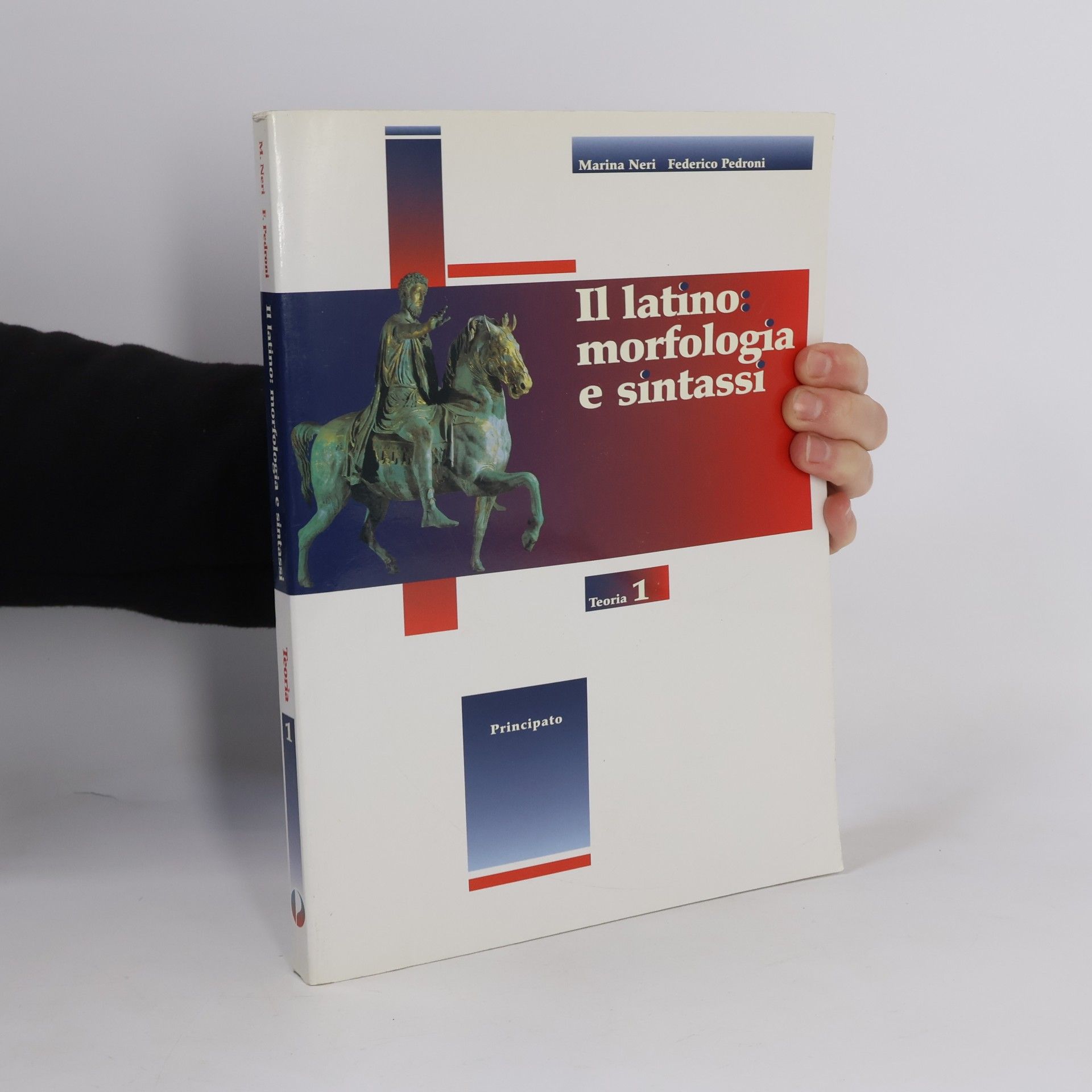 Federico Pedroni Latino: morfologia e sintassi