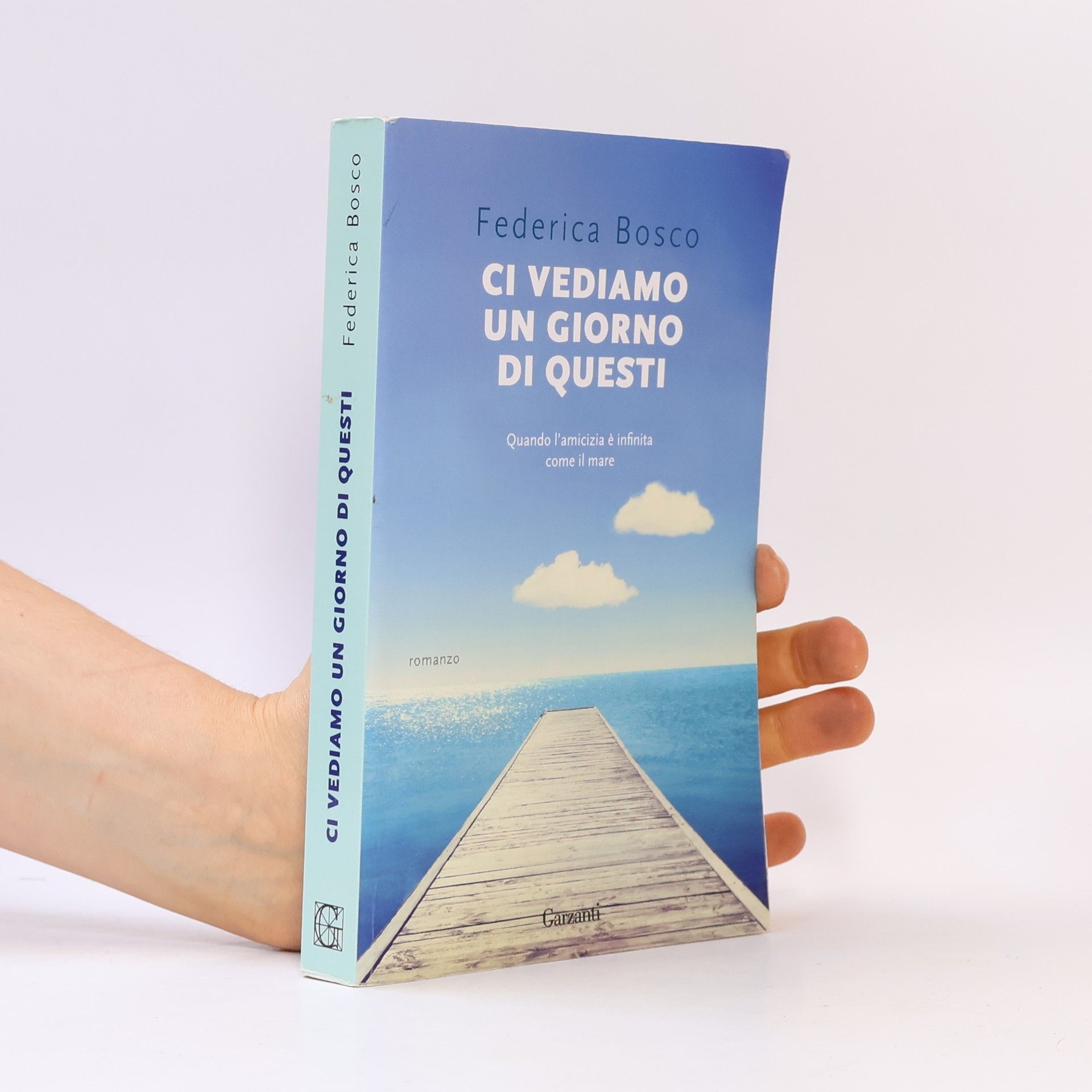 Federica Bosco Ci vediamo un giorno di questi