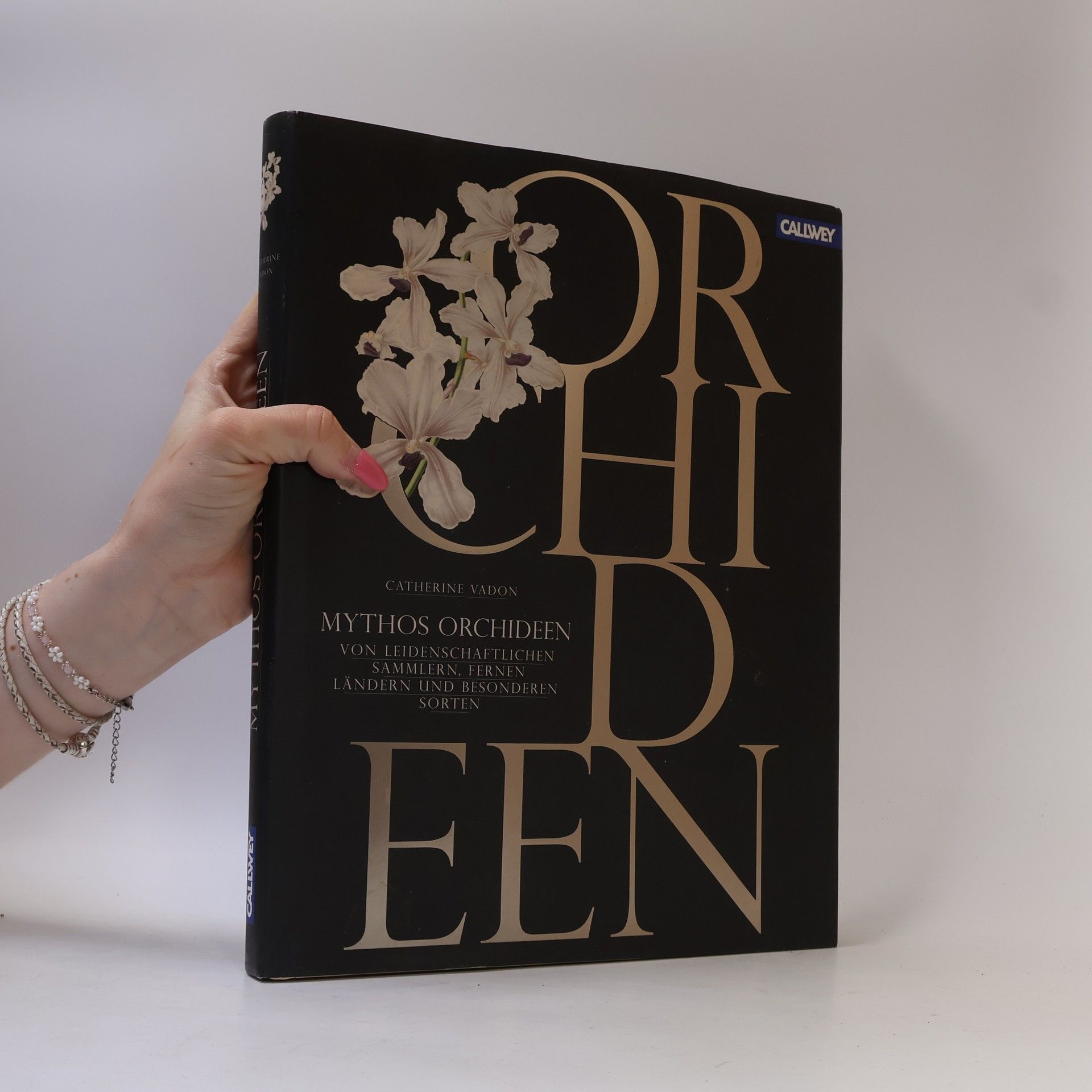 Oliver Kipp Magnolien