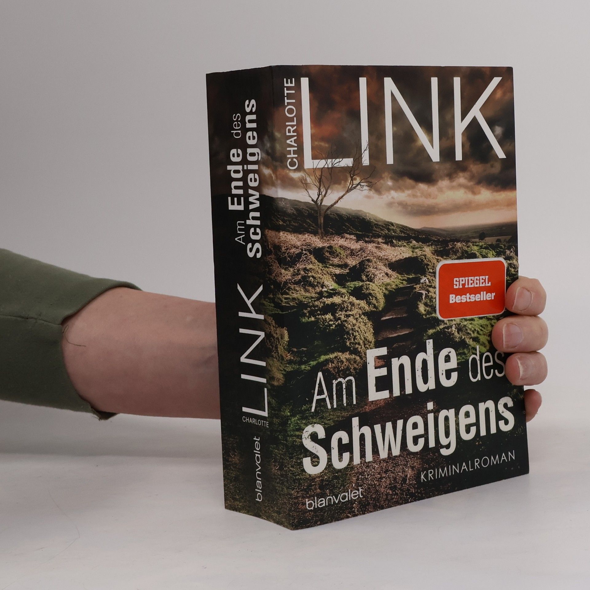Charlotte Link Am Ende des Schweigens