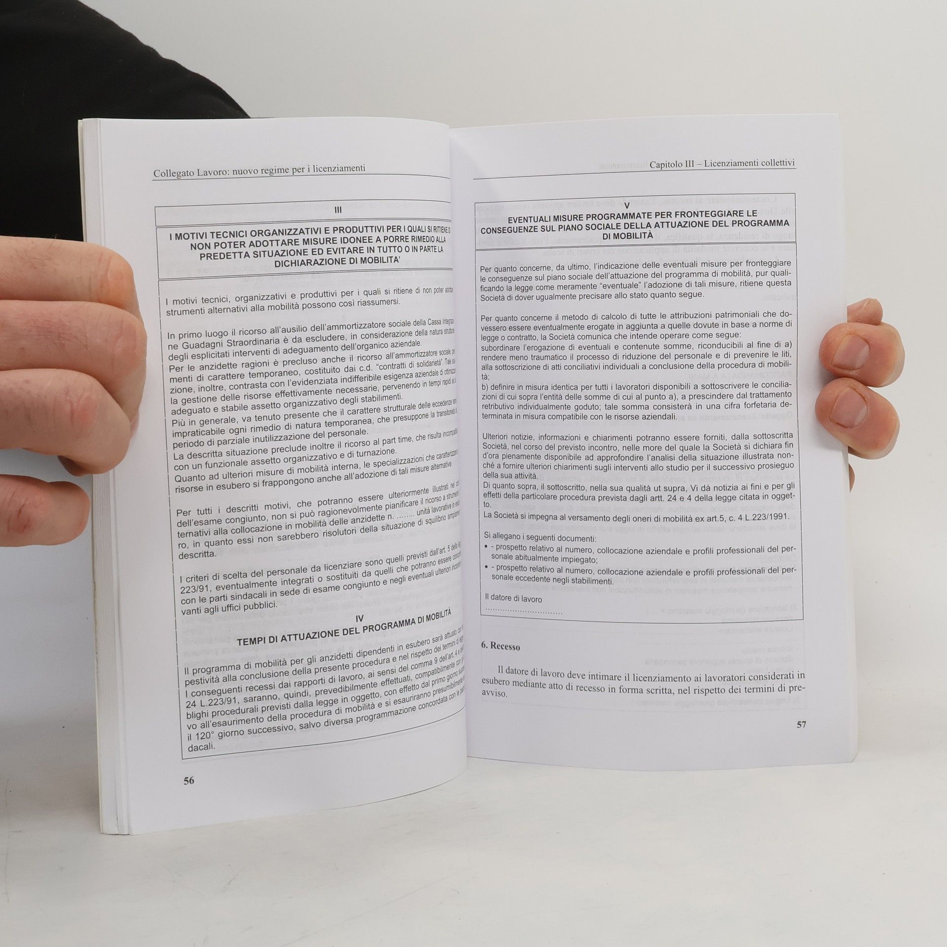 Massimo Brisciani Collegato lavoro. Nuovo regime per i licenziamenti