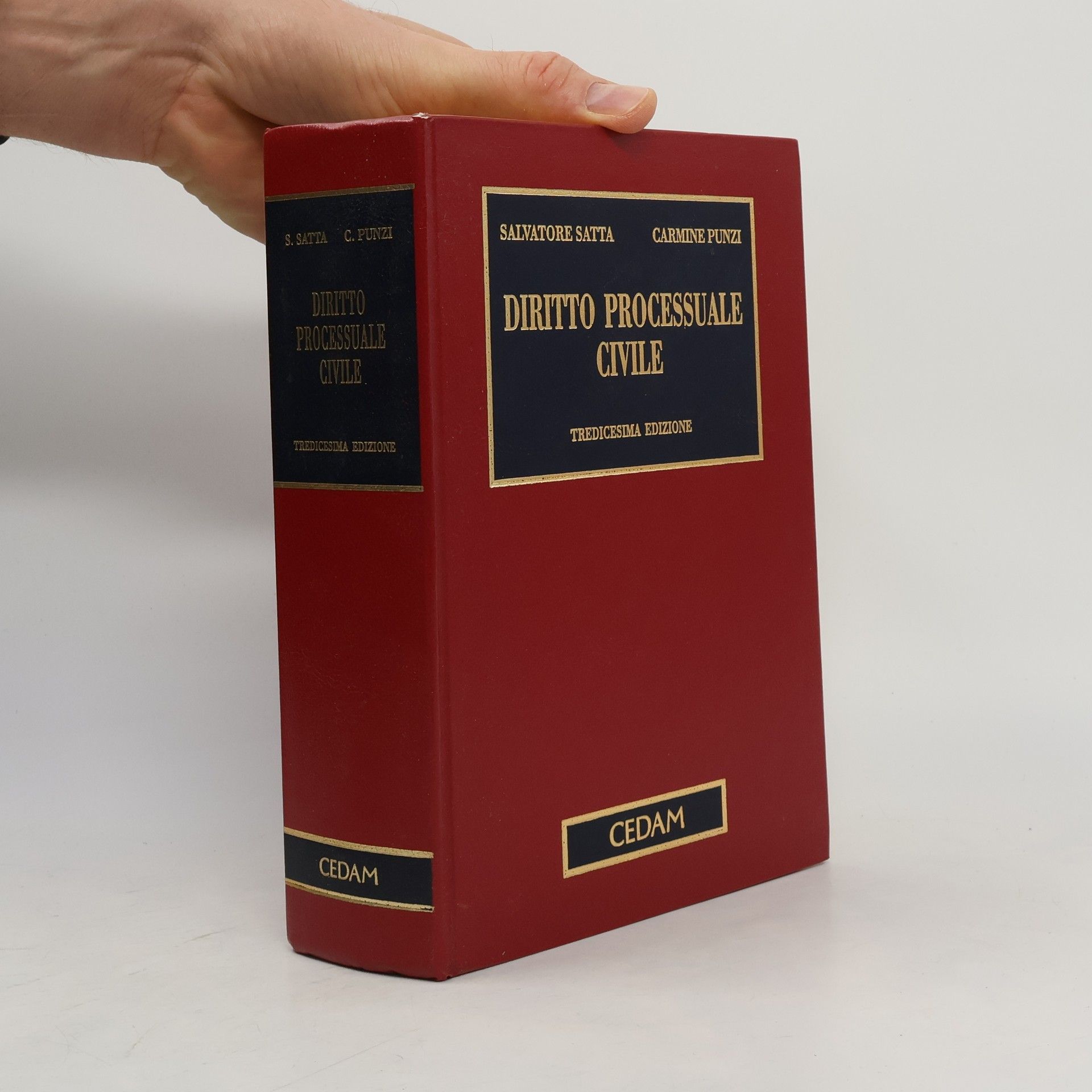 Manuali di scienze giuridiche: Diritto processuale civile