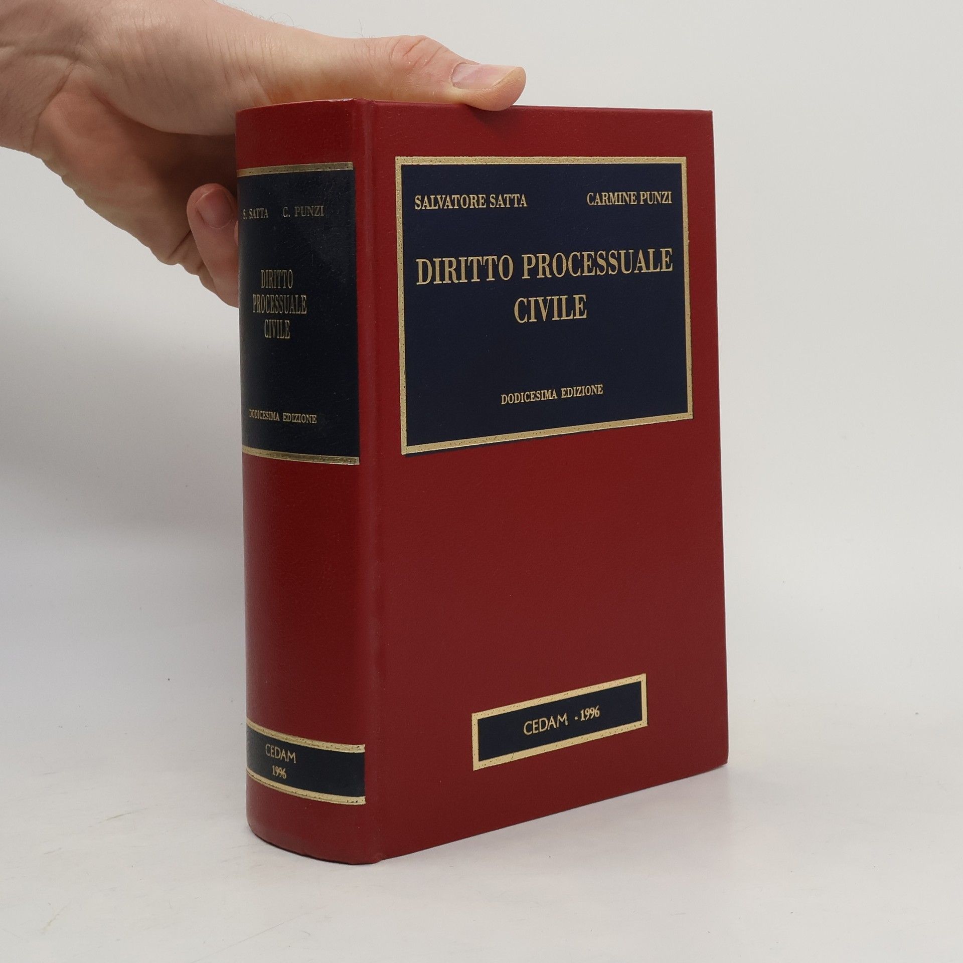 Manuali di scienze giuridiche: Diritto processuale civile - Dodicesima edizione