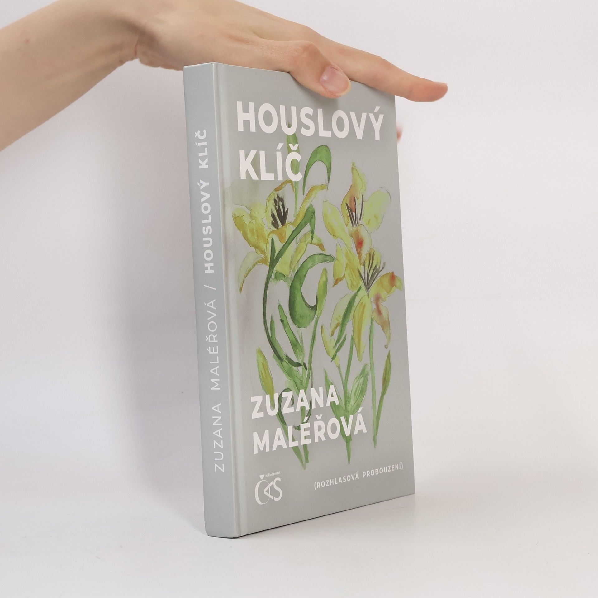 Zuzana Maléřová Houslový klíč