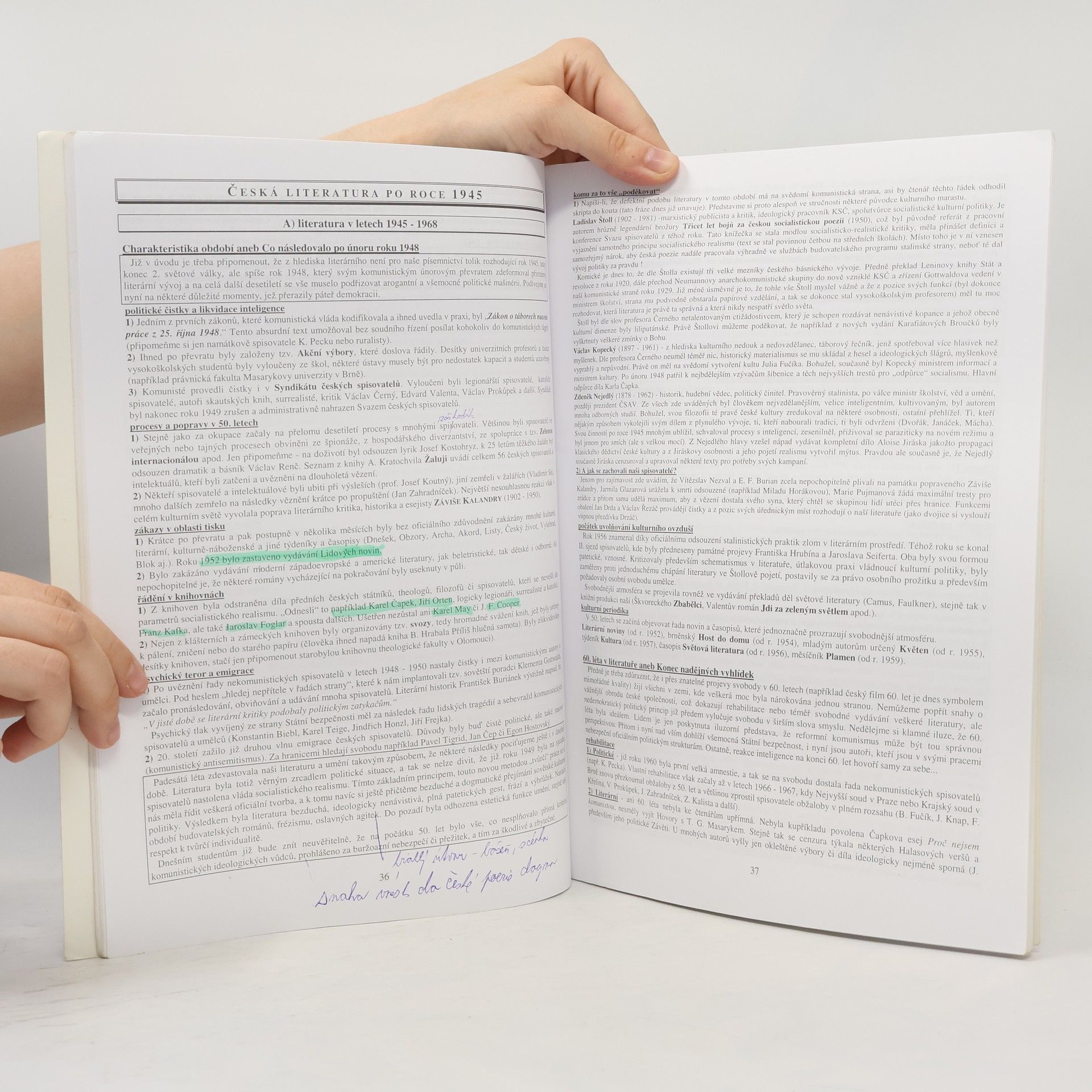Vladimír Prokop Přehled české literatury 20. století
