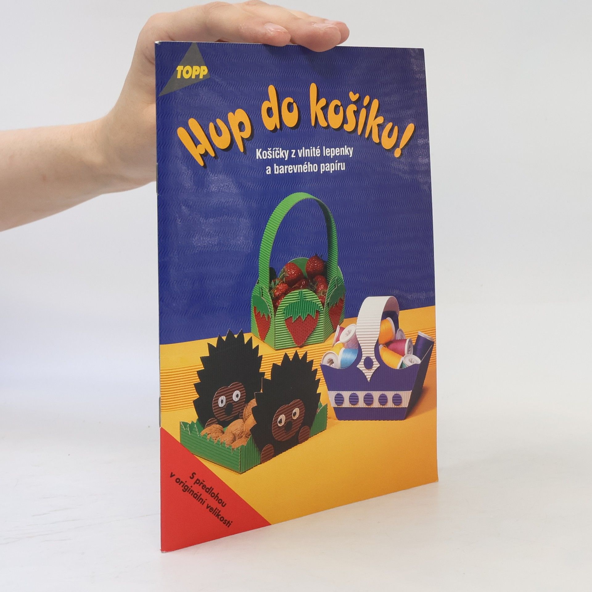 Julia Täubner Hup do košíku! : košíčky z vlnité lepenky a barevného papíru