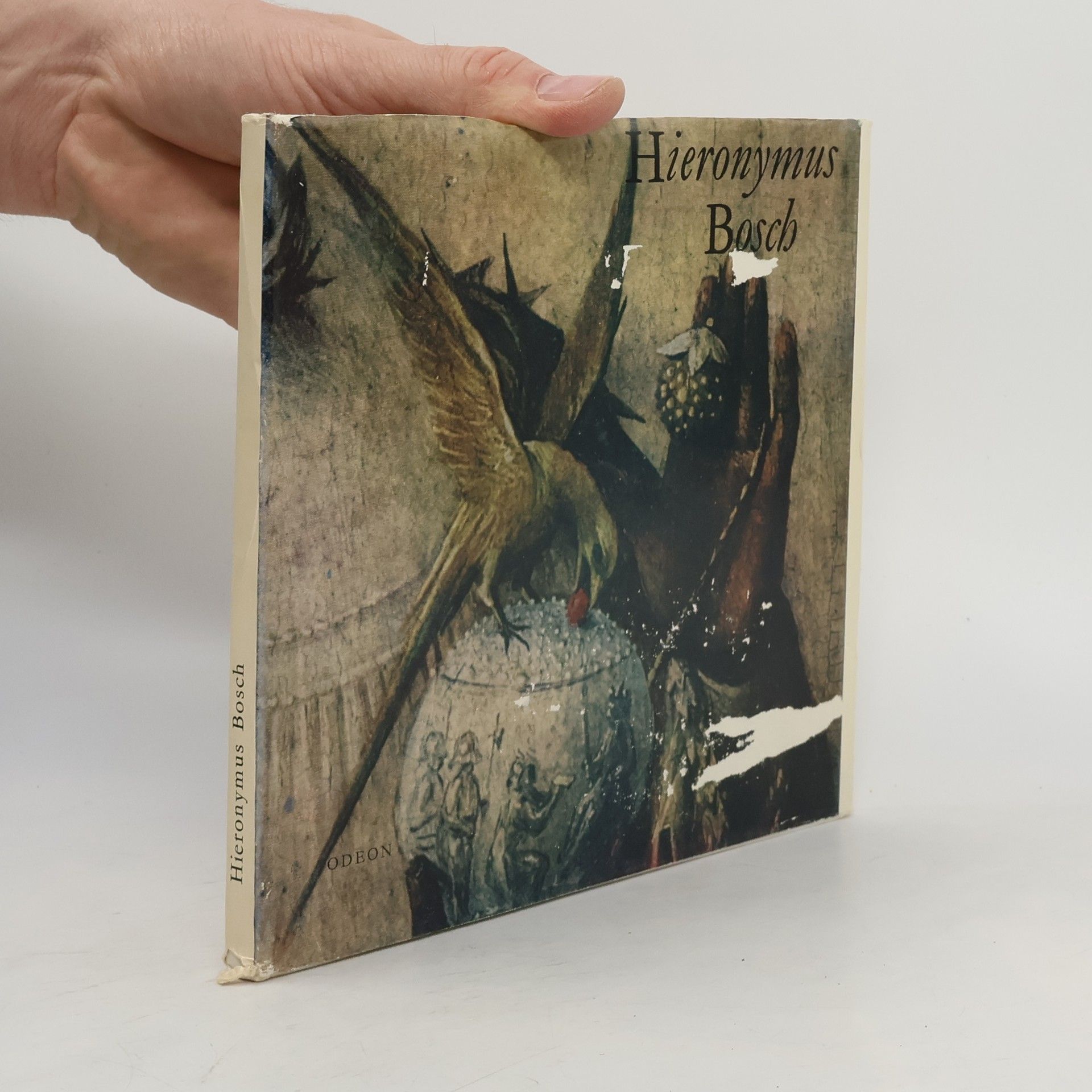 Hana Volavková Hieronymus Bosch