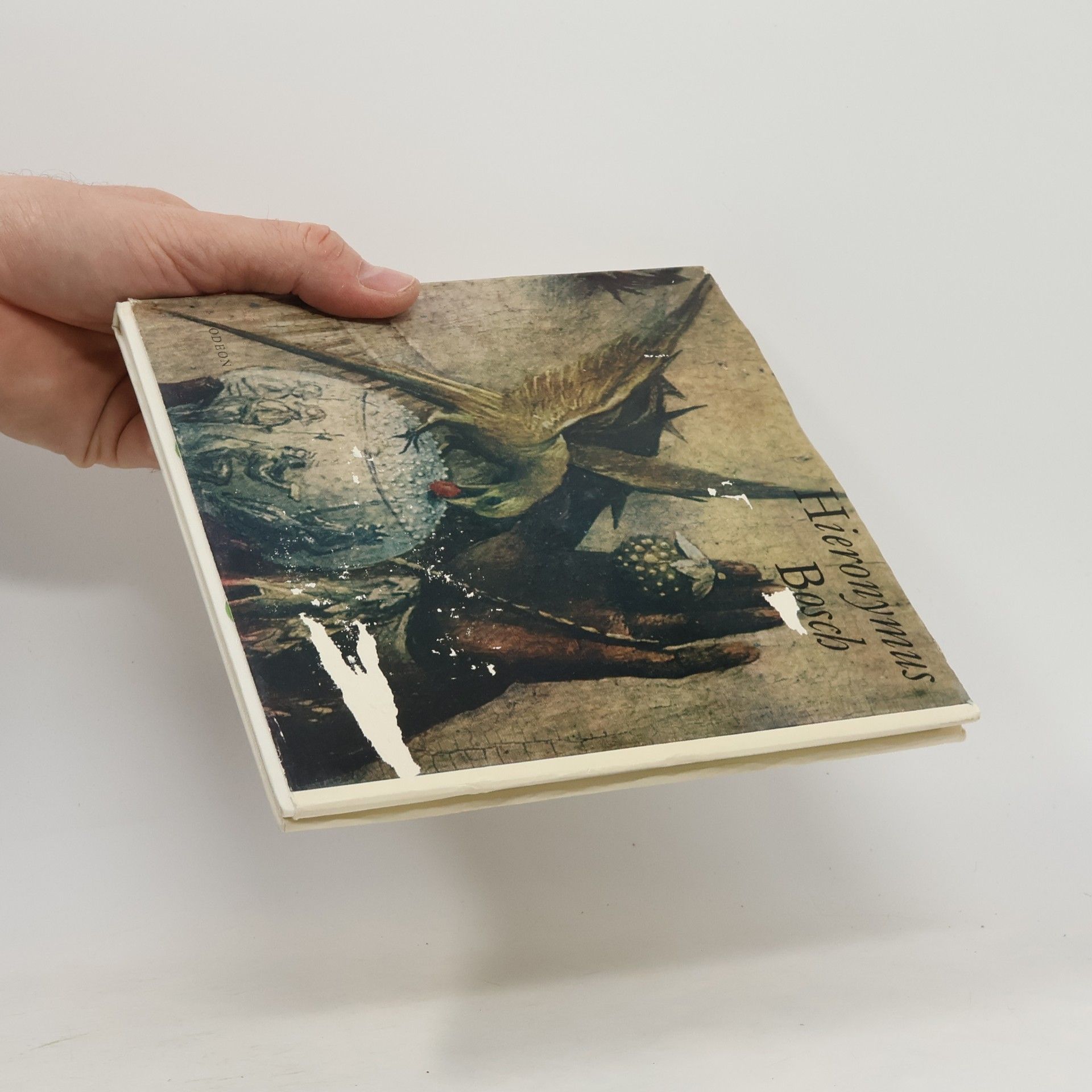Hana Volavková Hieronymus Bosch