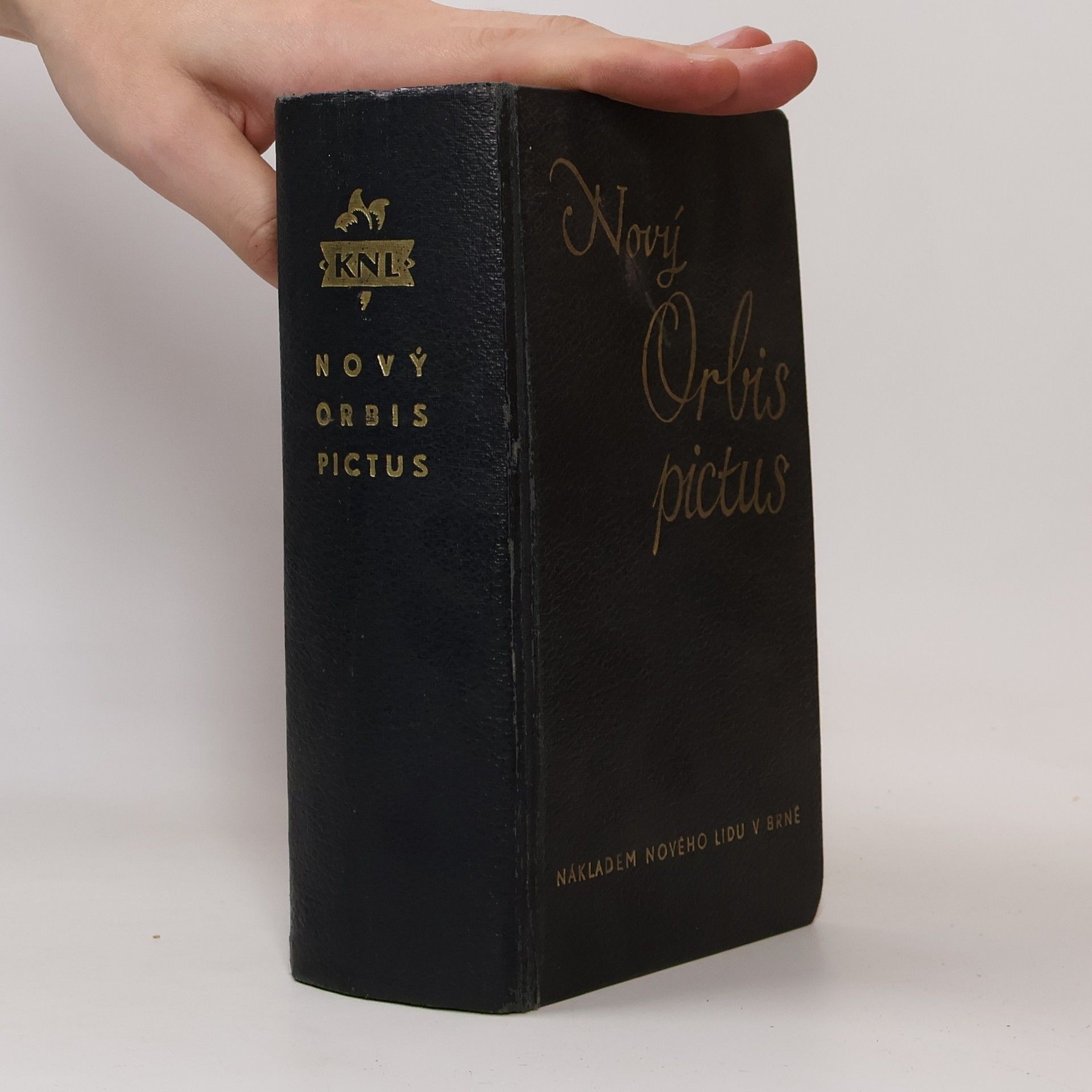 F. Pokorný Nový Orbis pictus. Obrázkový slovník česko-německý a německo-český. Svazek I.