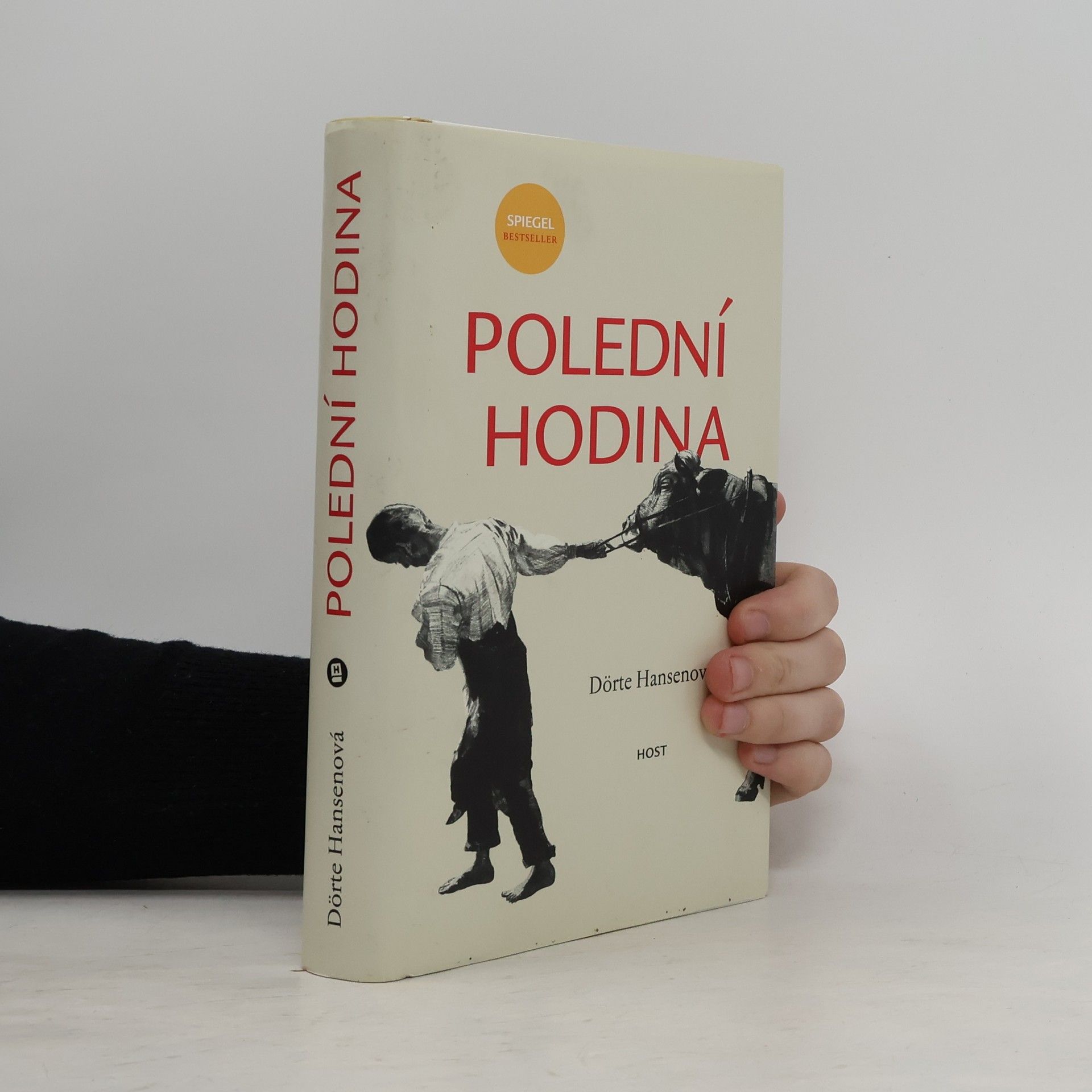 Dörte Hansen Polední hodina