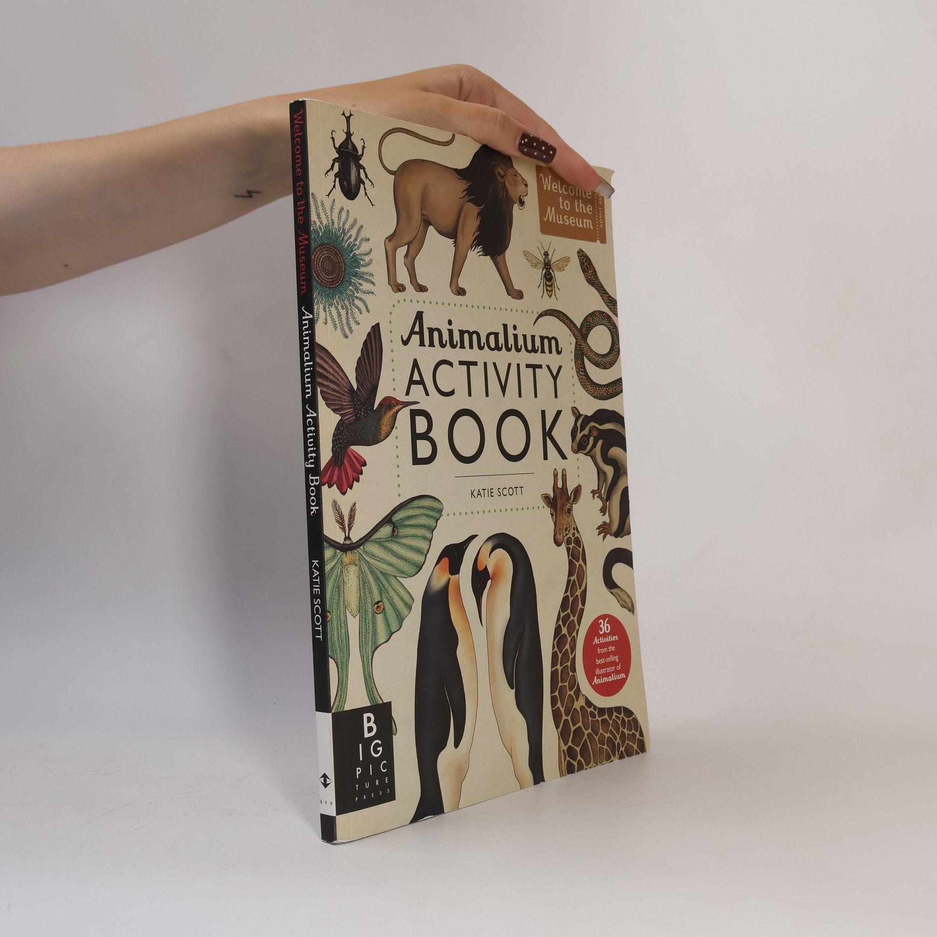 Katie Scott Animalium: activity book