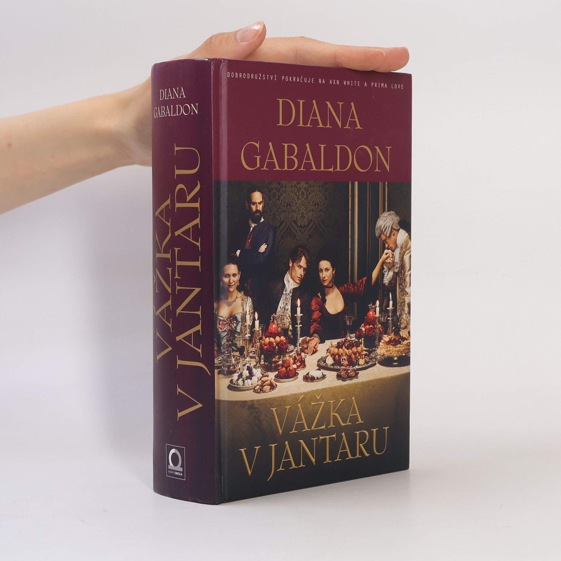 Diana Gabaldon Vážka v jantaru
