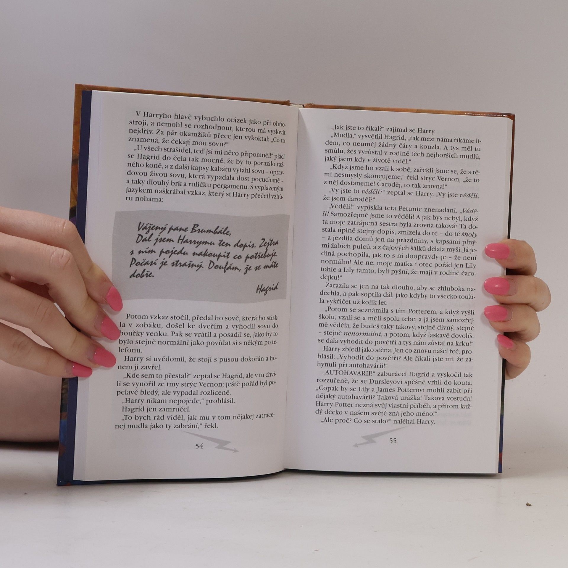 Joanne K. Rowlingová Harry Potter a kámen mudrců