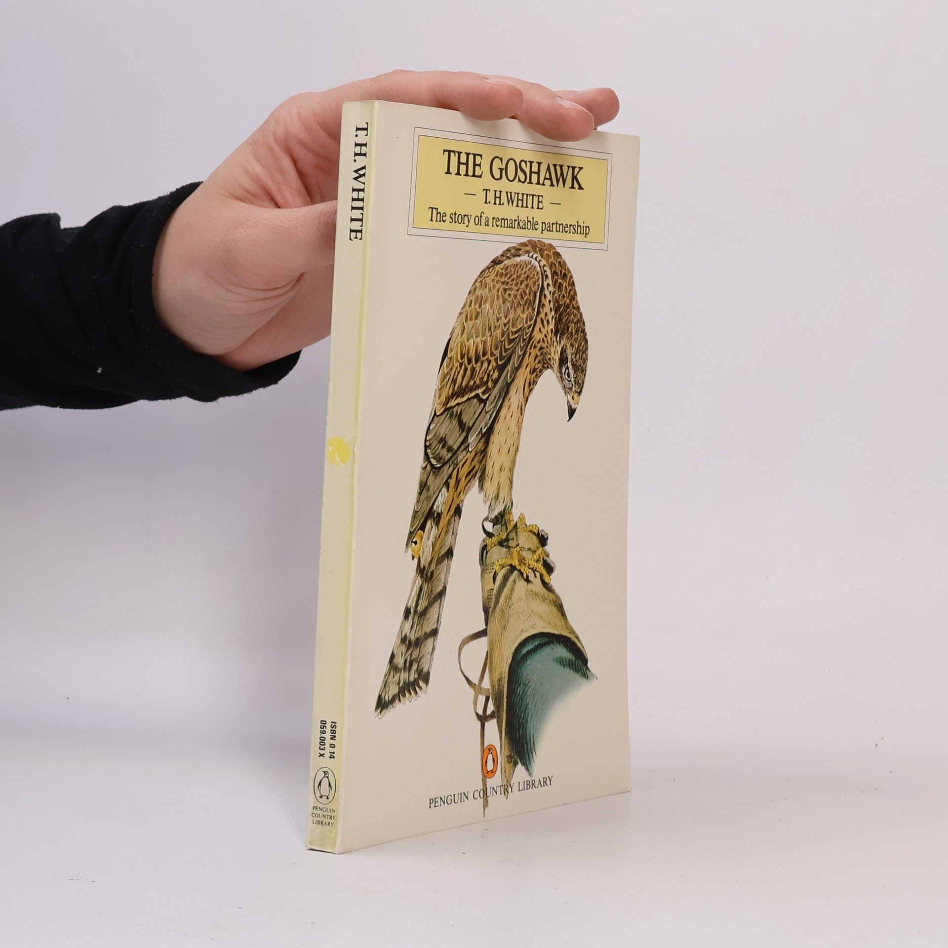 Tom White The Goshawk
